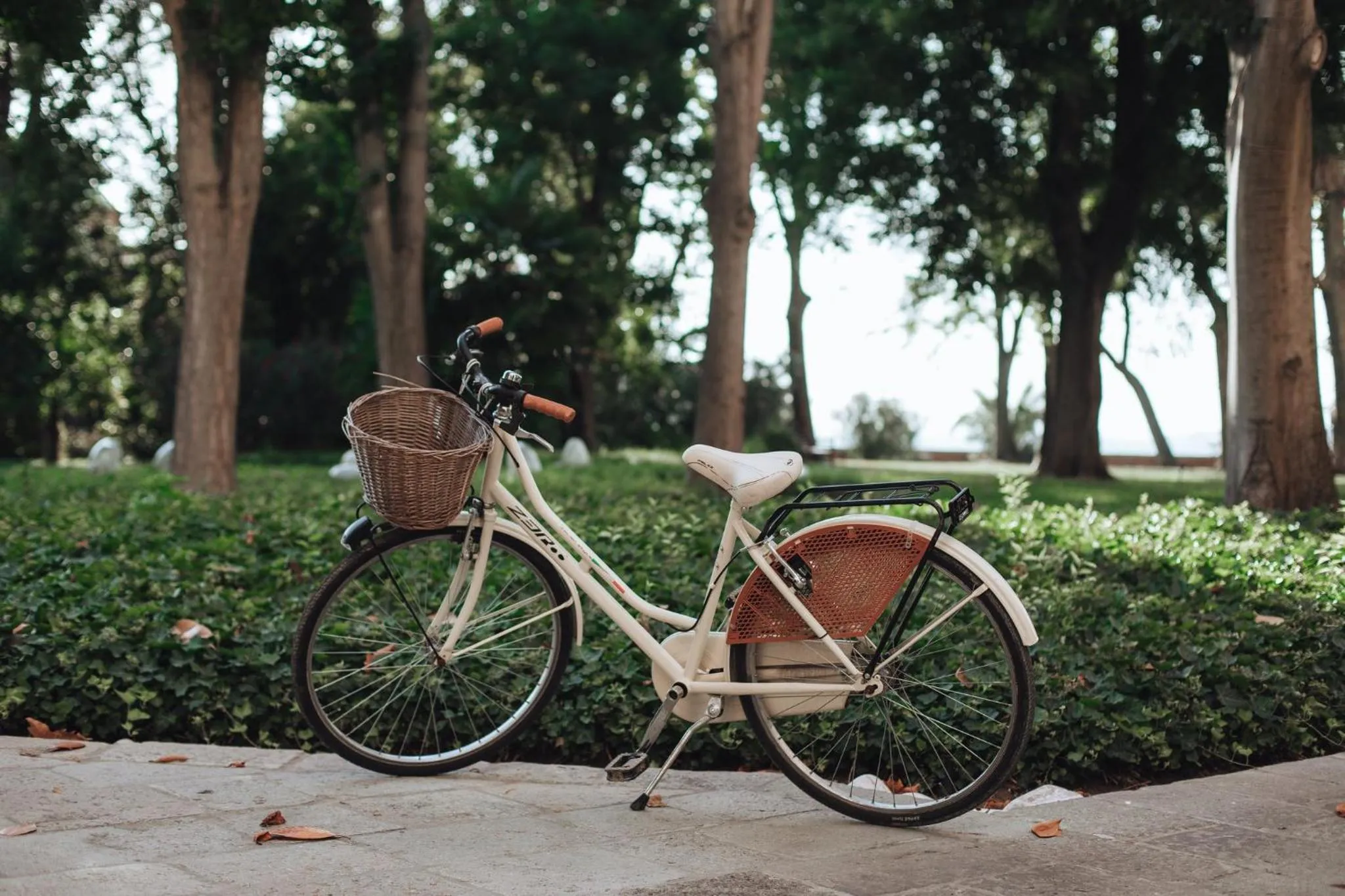 Cycling in San Clemente Palace Venice