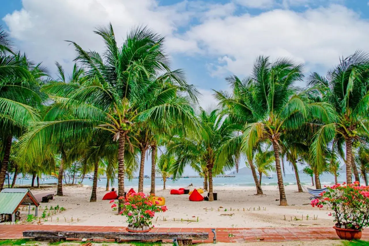 King Room with Sea View - single occupancy in Thiên Tân Hotel King Room with Sea View - single occupancy in Thiên Tân Hotel