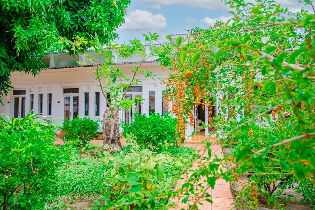 Triple Room with Garden View in Thiên Tân Hotel Triple Room with Garden View in Thiên Tân Hotel