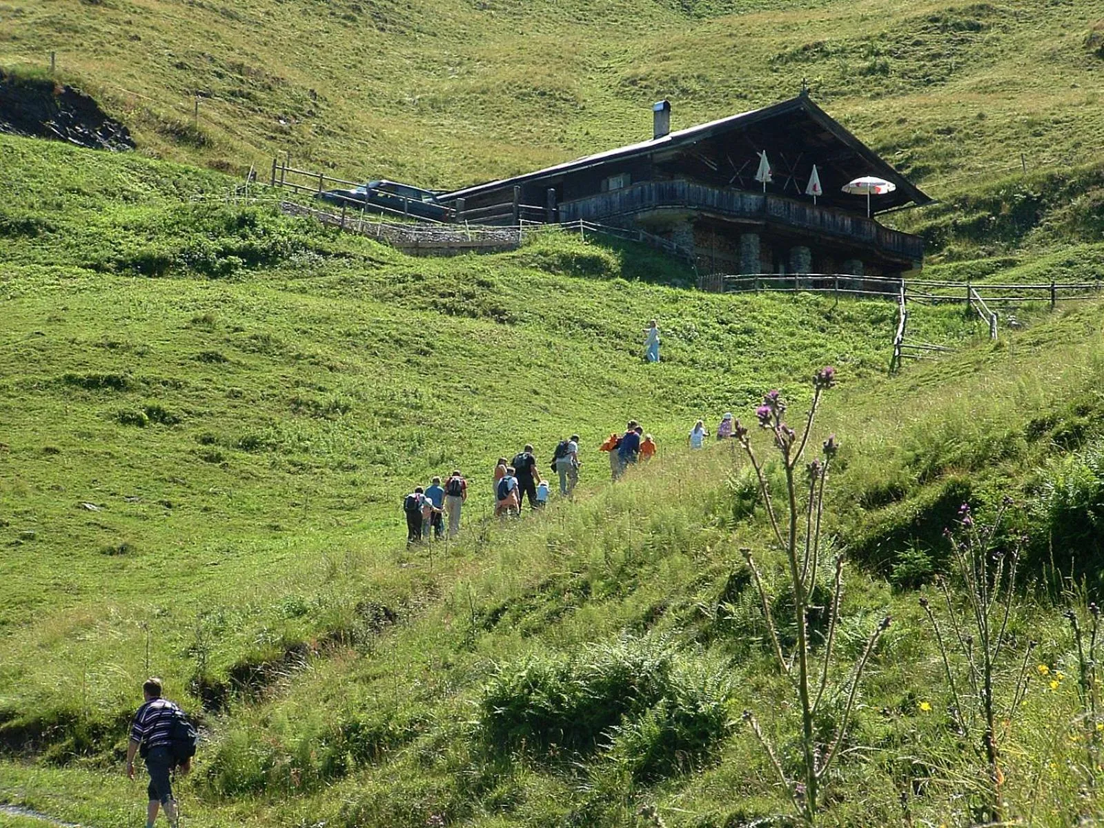 Hiking in Kaiserhotel Kitzbühler Alpen