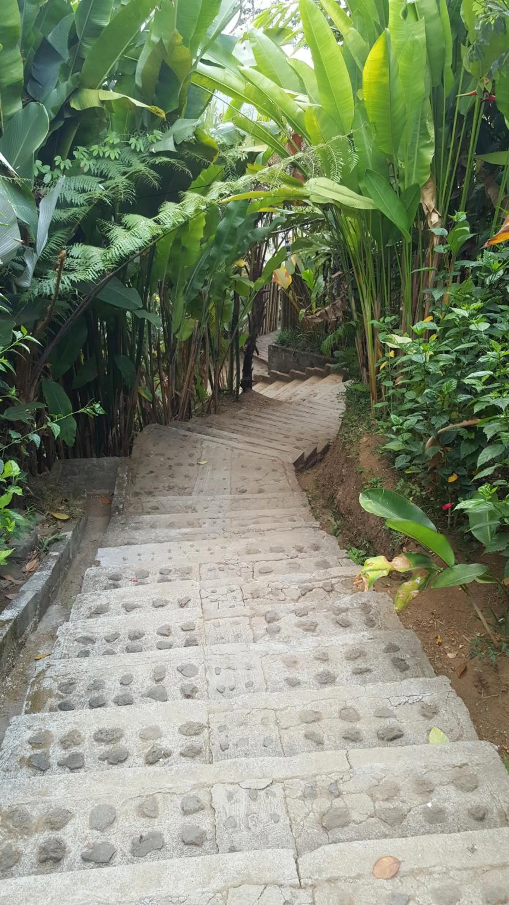 Day in Sang Giri Mountain Tent Resort