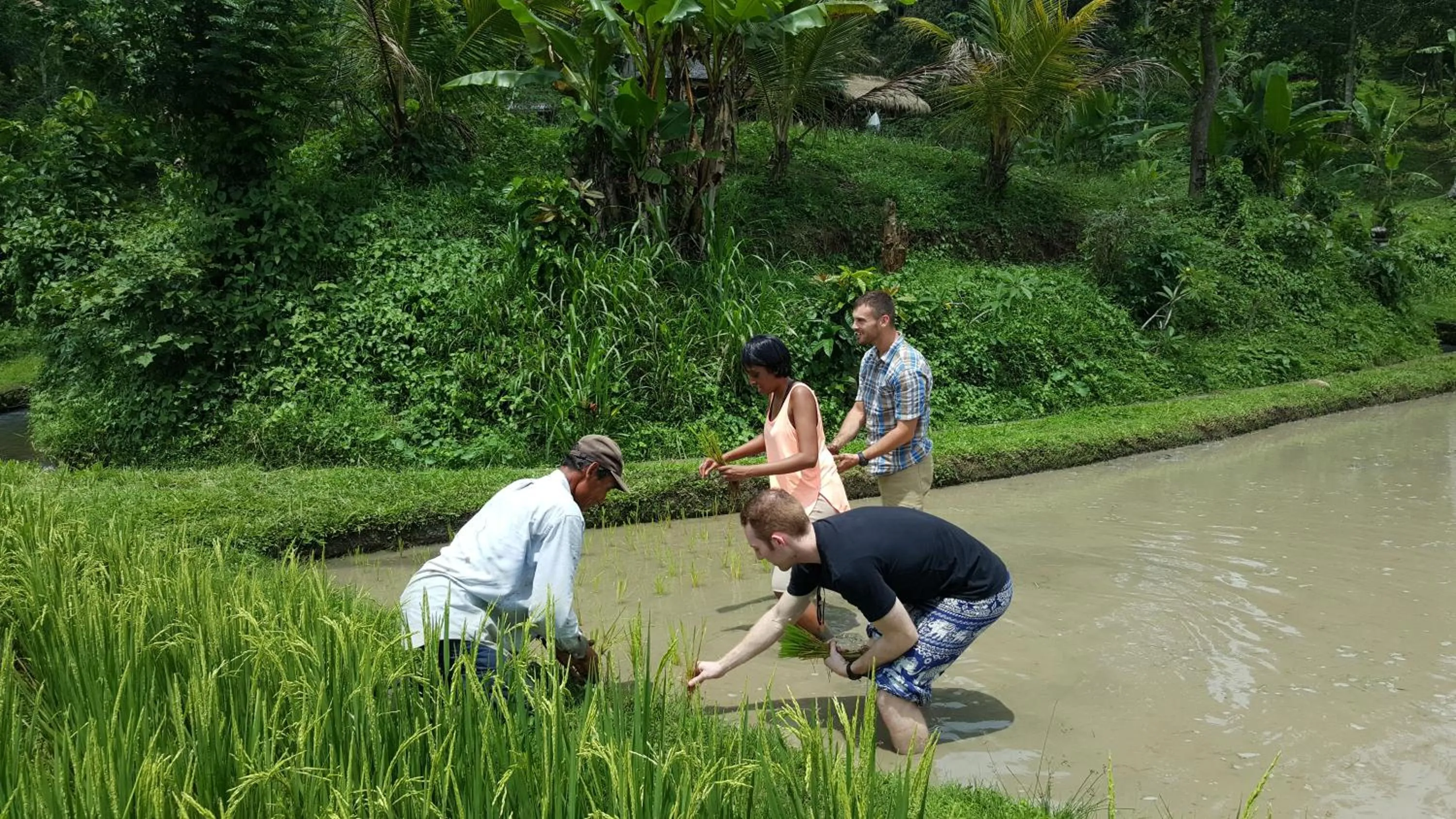 Nearby landmark in Sang Giri Mountain Tent Resort