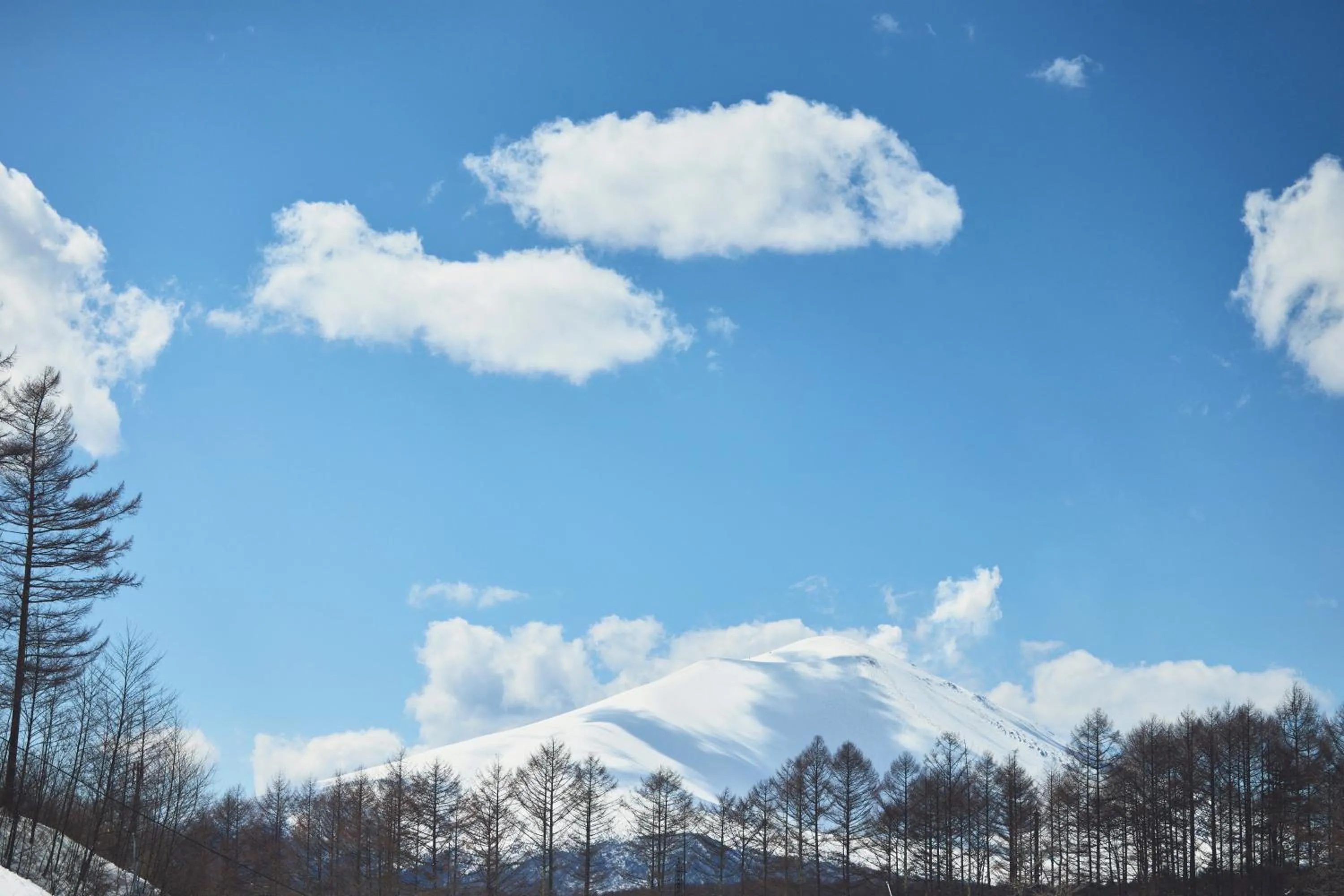 Other in ANA Holiday Inn Resort Karuizawa by IHG