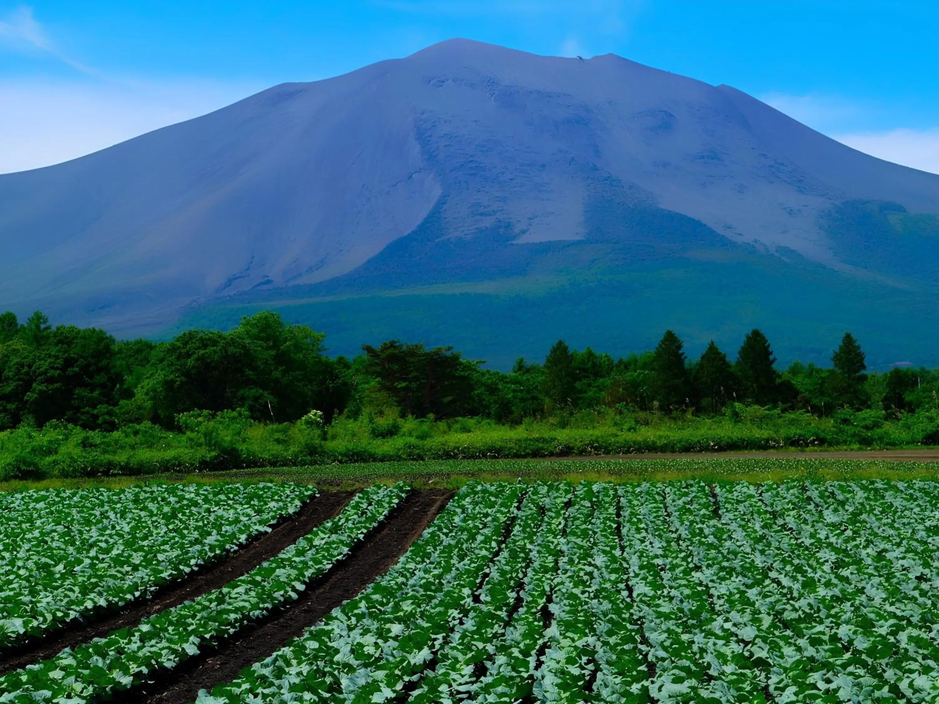 Area and facilities in ANA Holiday Inn Resort Karuizawa by IHG