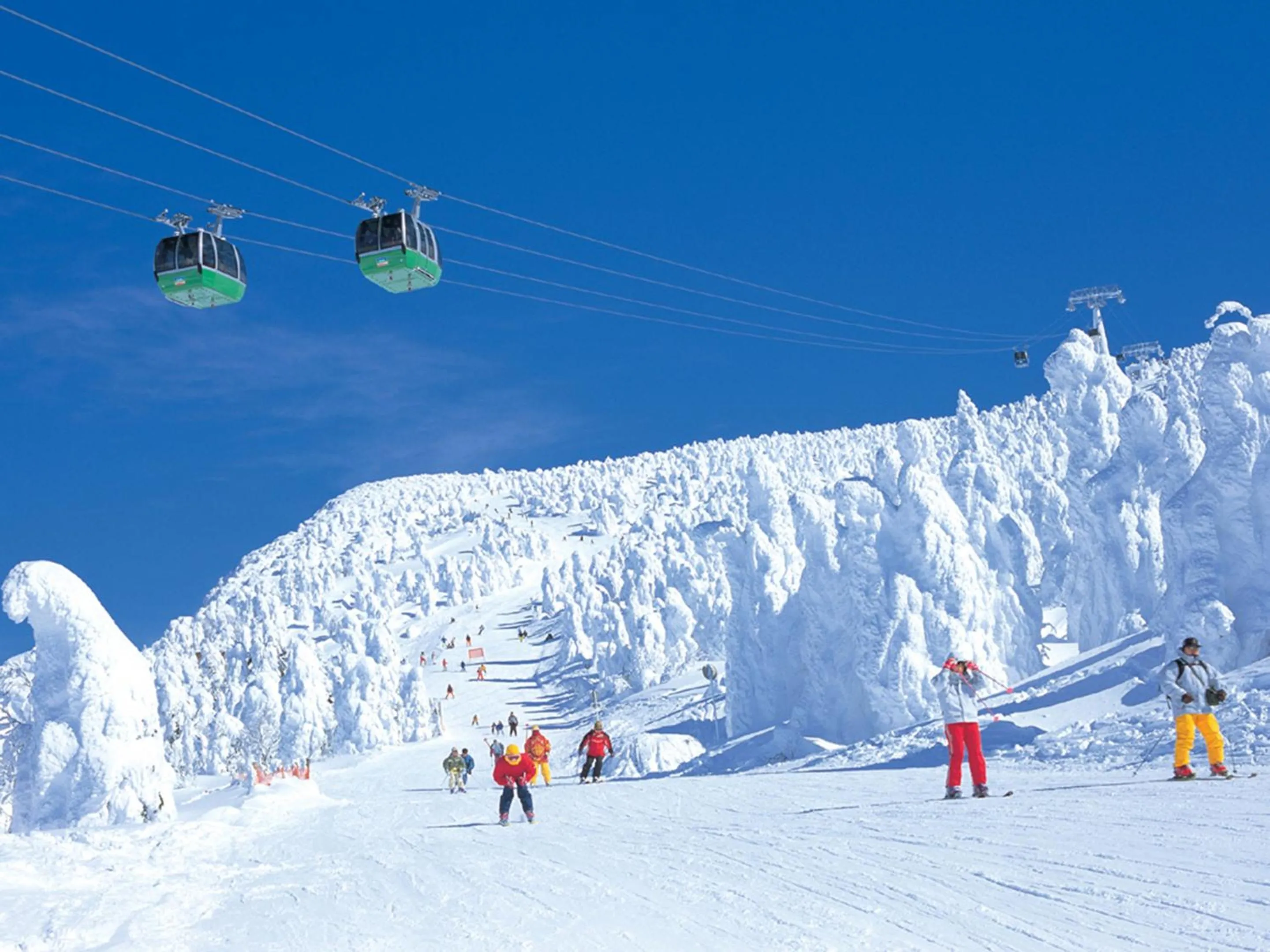 Skiing in Lodge Scole