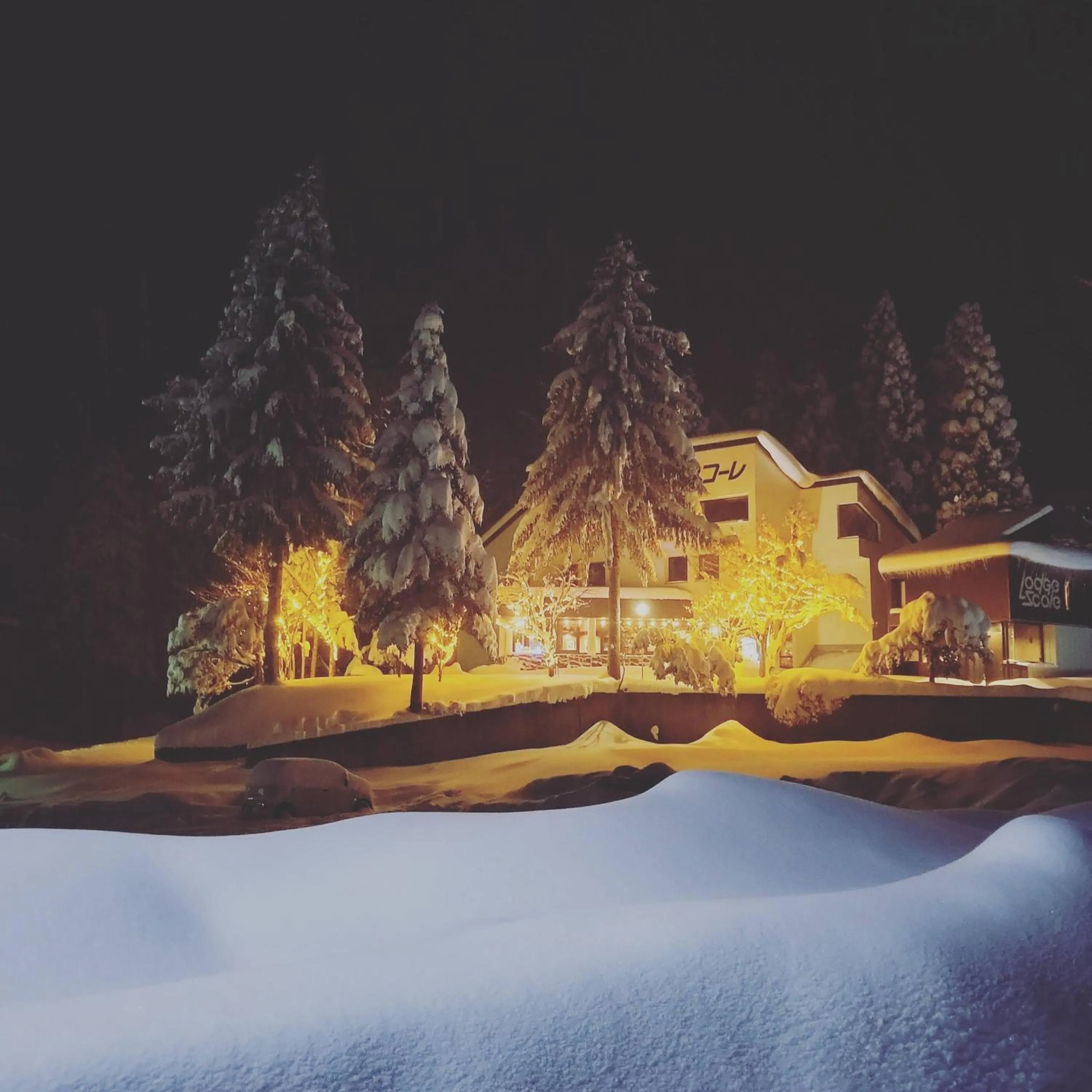 Property building in Lodge Scole