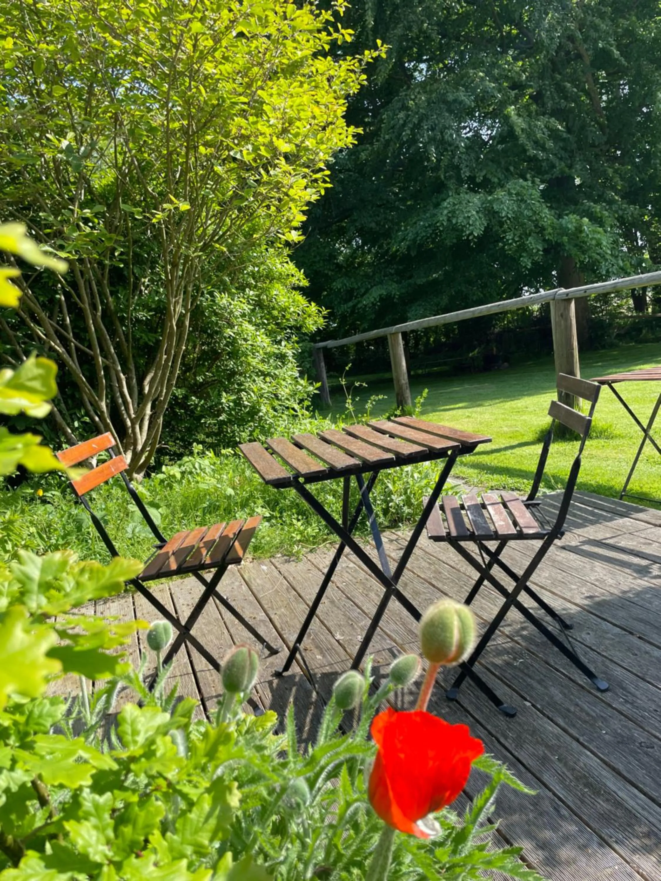 Garden view in Wattlodge