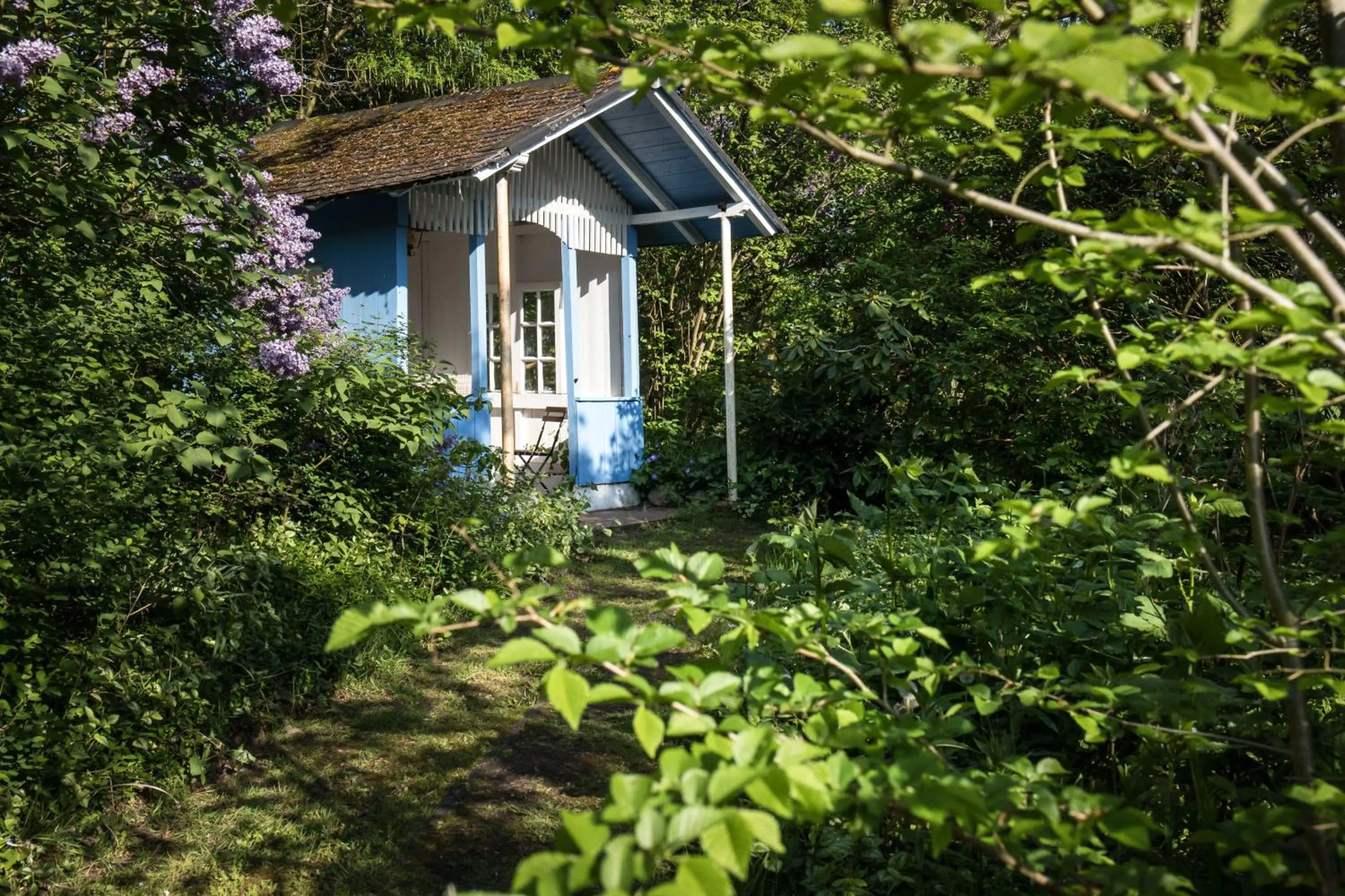 Garden view in Wattlodge
