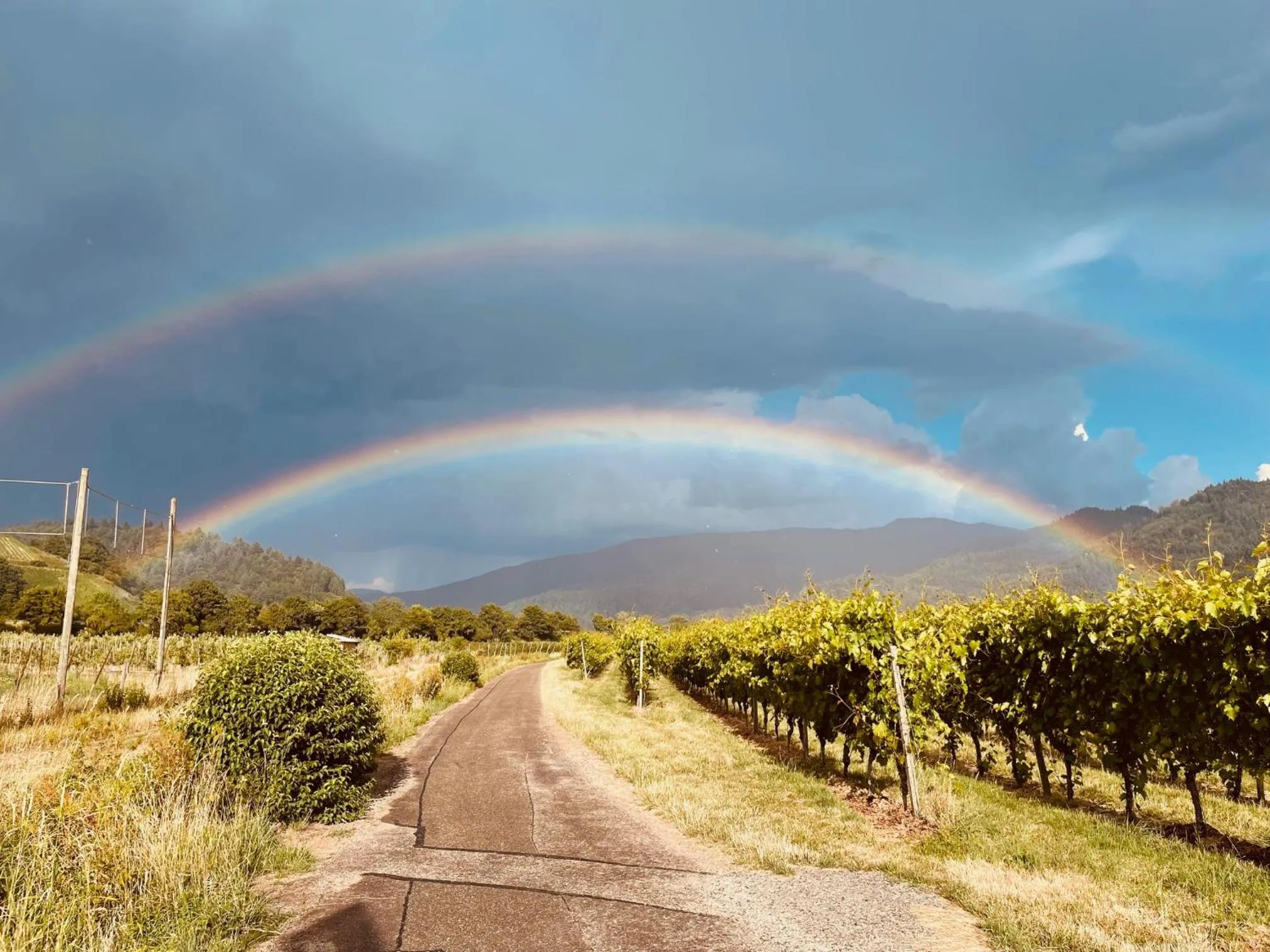 Autumn in Gasthaus Hirschenstube & Gästehaus Gehri
