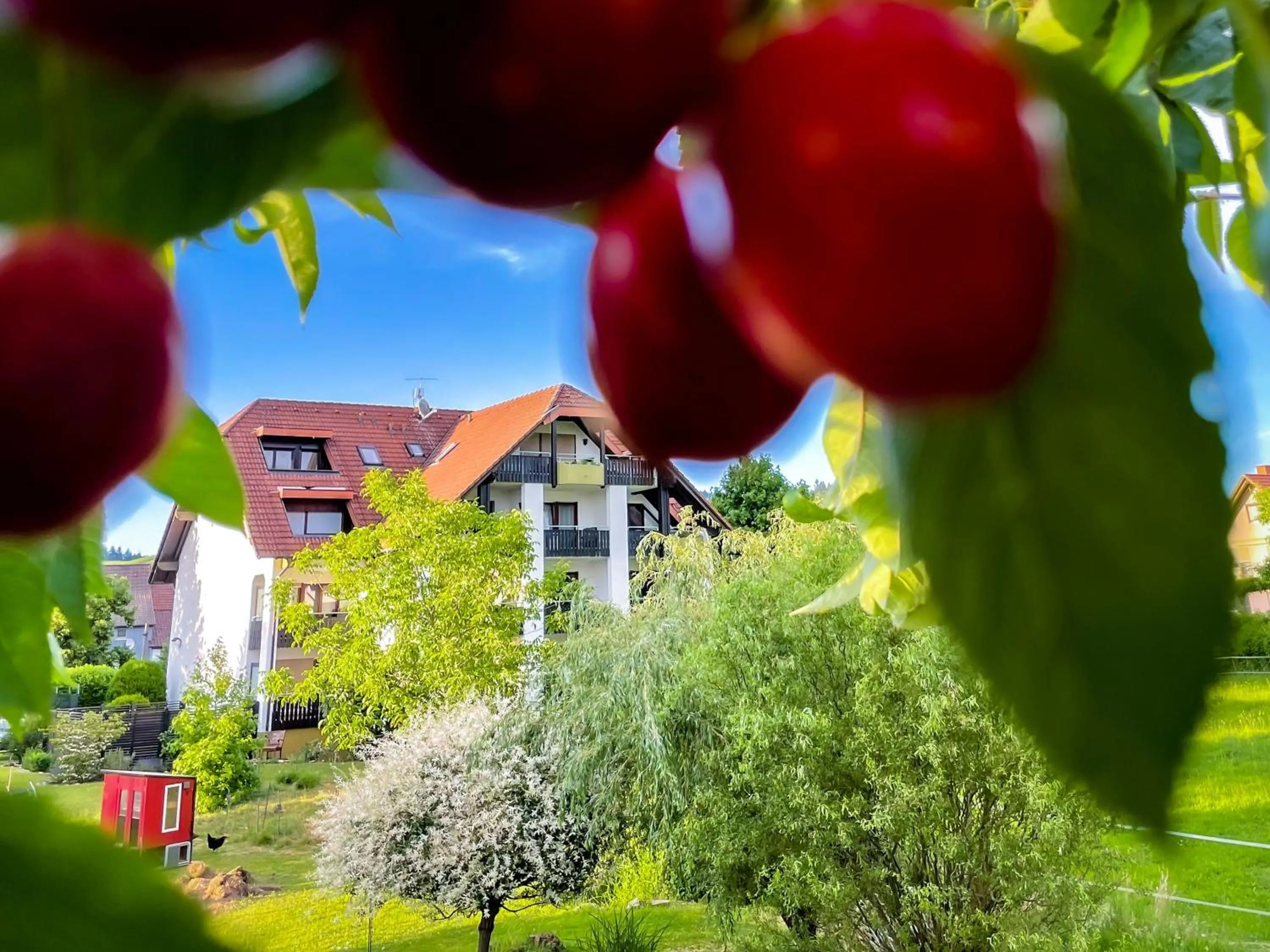 Property building in Gasthaus Hirschenstube & Gästehaus Gehri