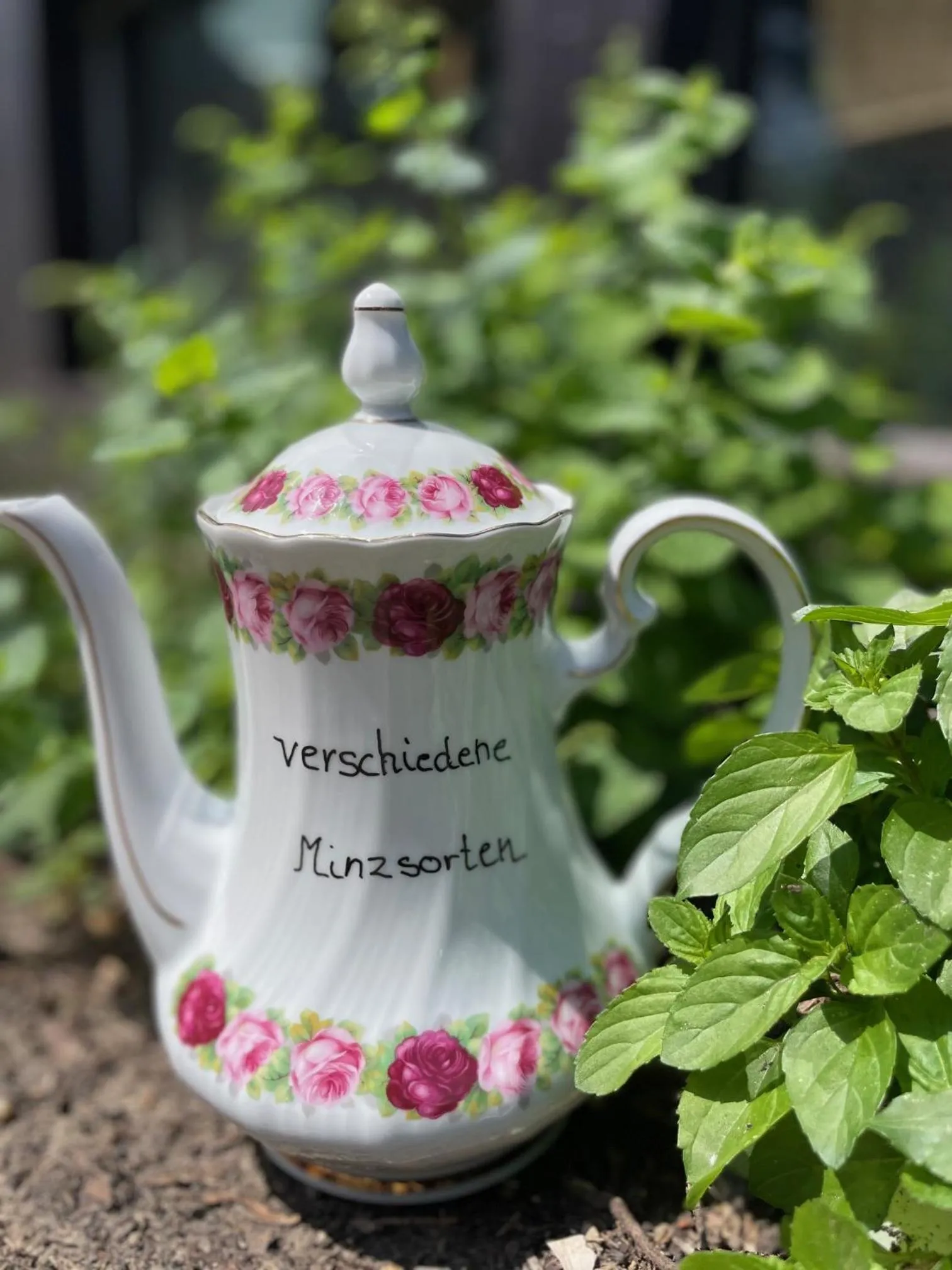 Garden in Gasthaus Hirschenstube & Gästehaus Gehri