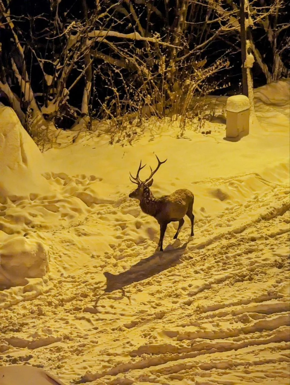 Winter in Hotel Dobry Klimat
