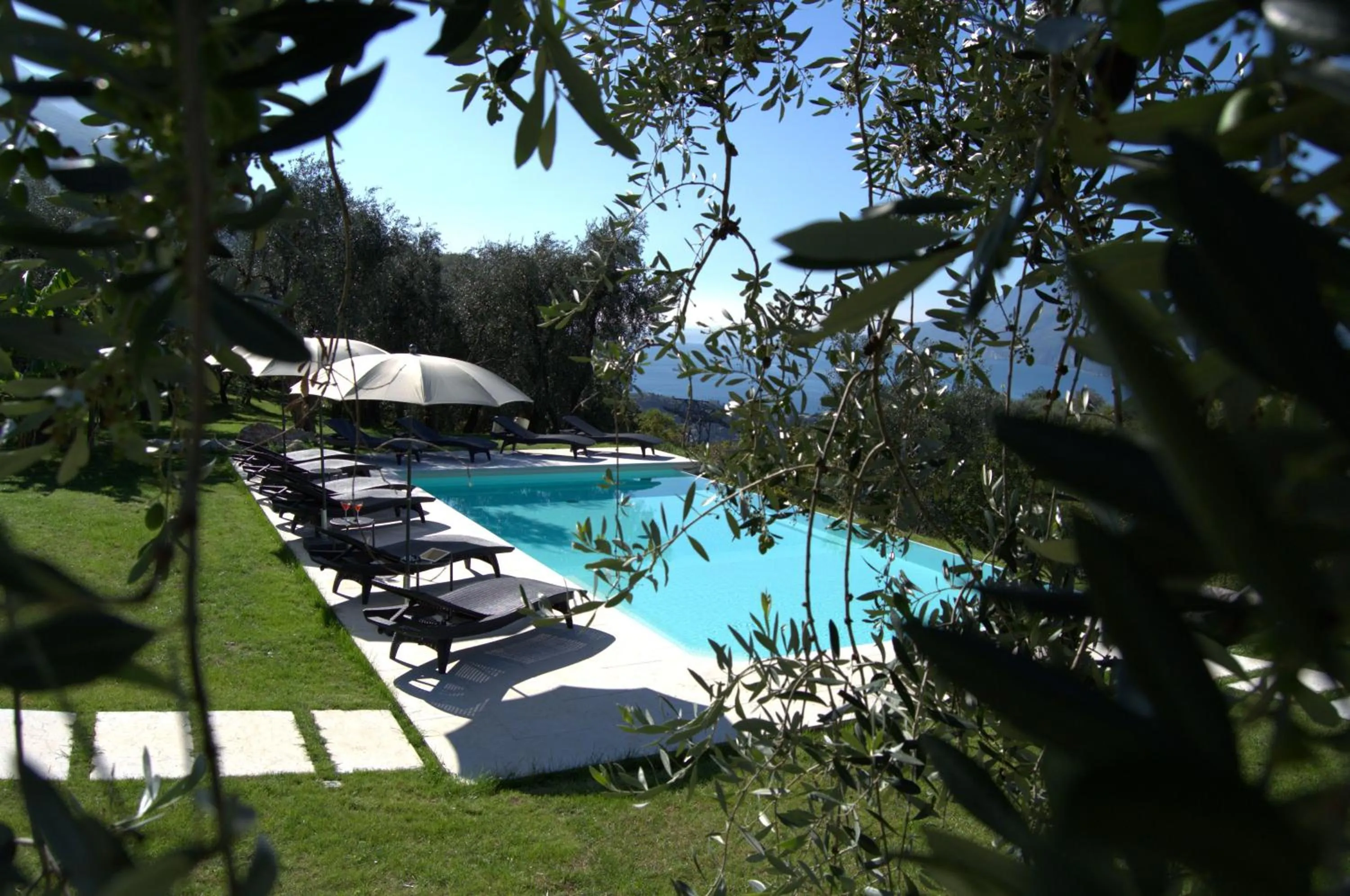 Garden in Guesthouse Grand View