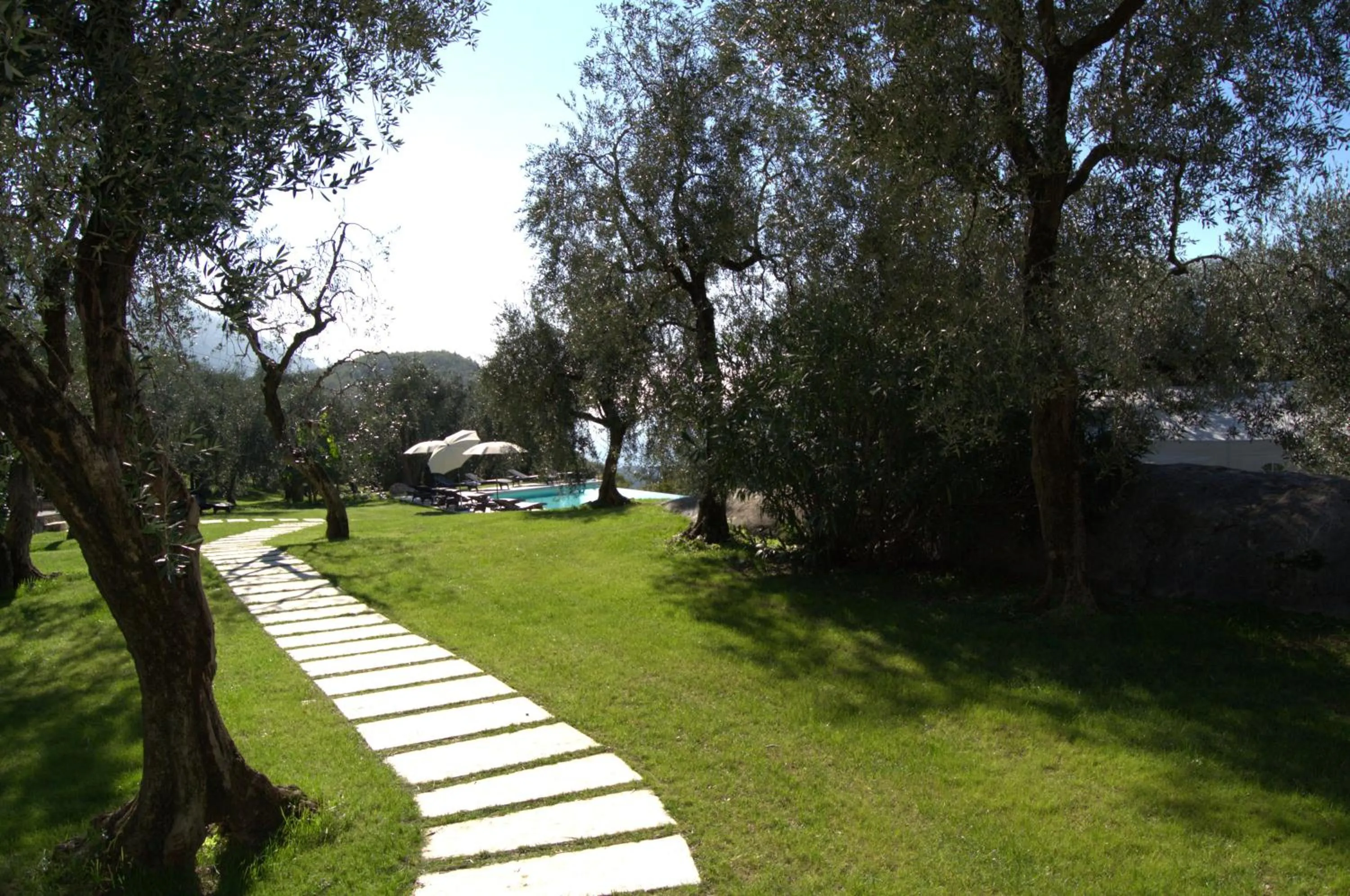 Garden in Guesthouse Grand View