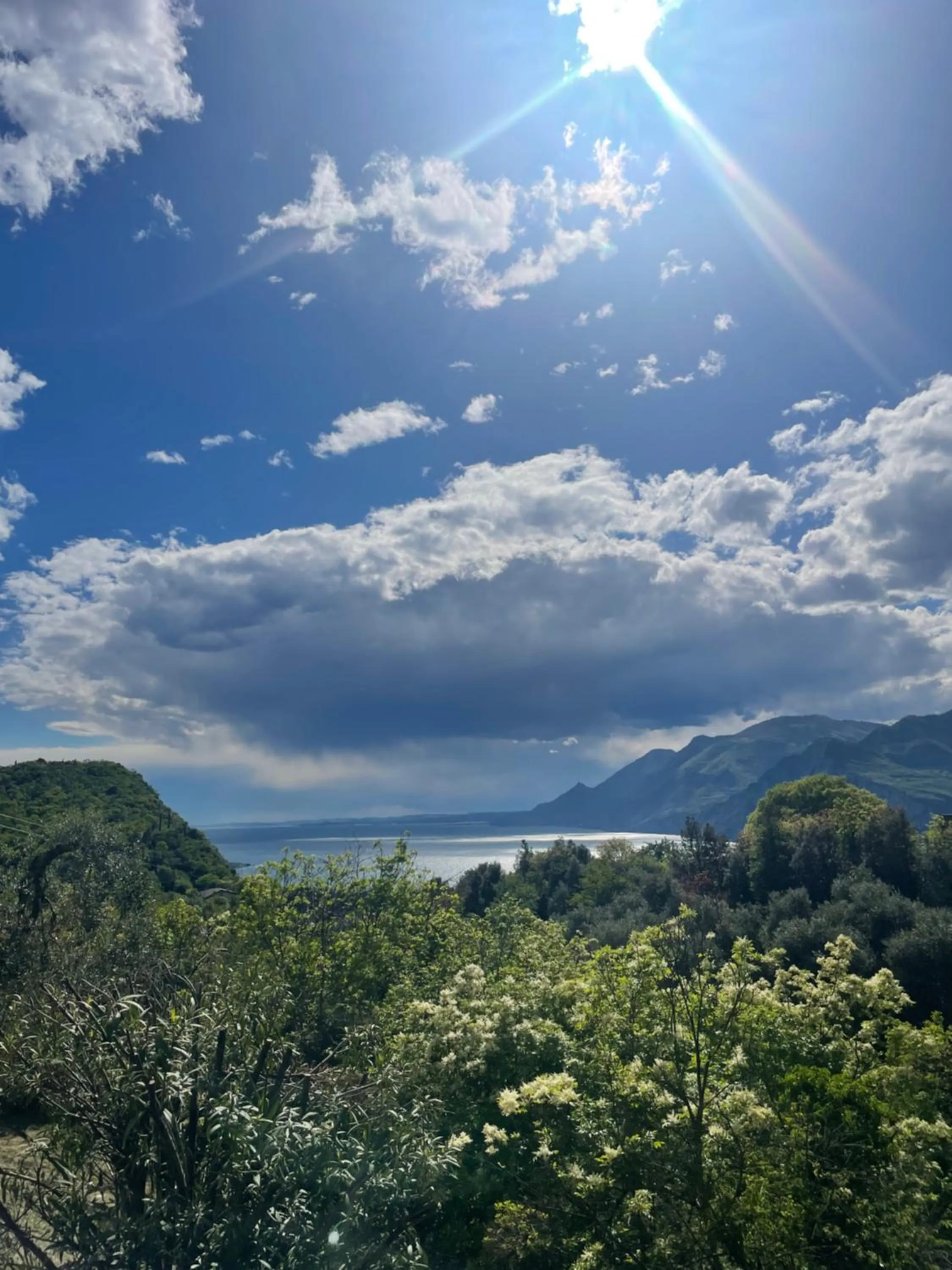 Guesthouse Grand View