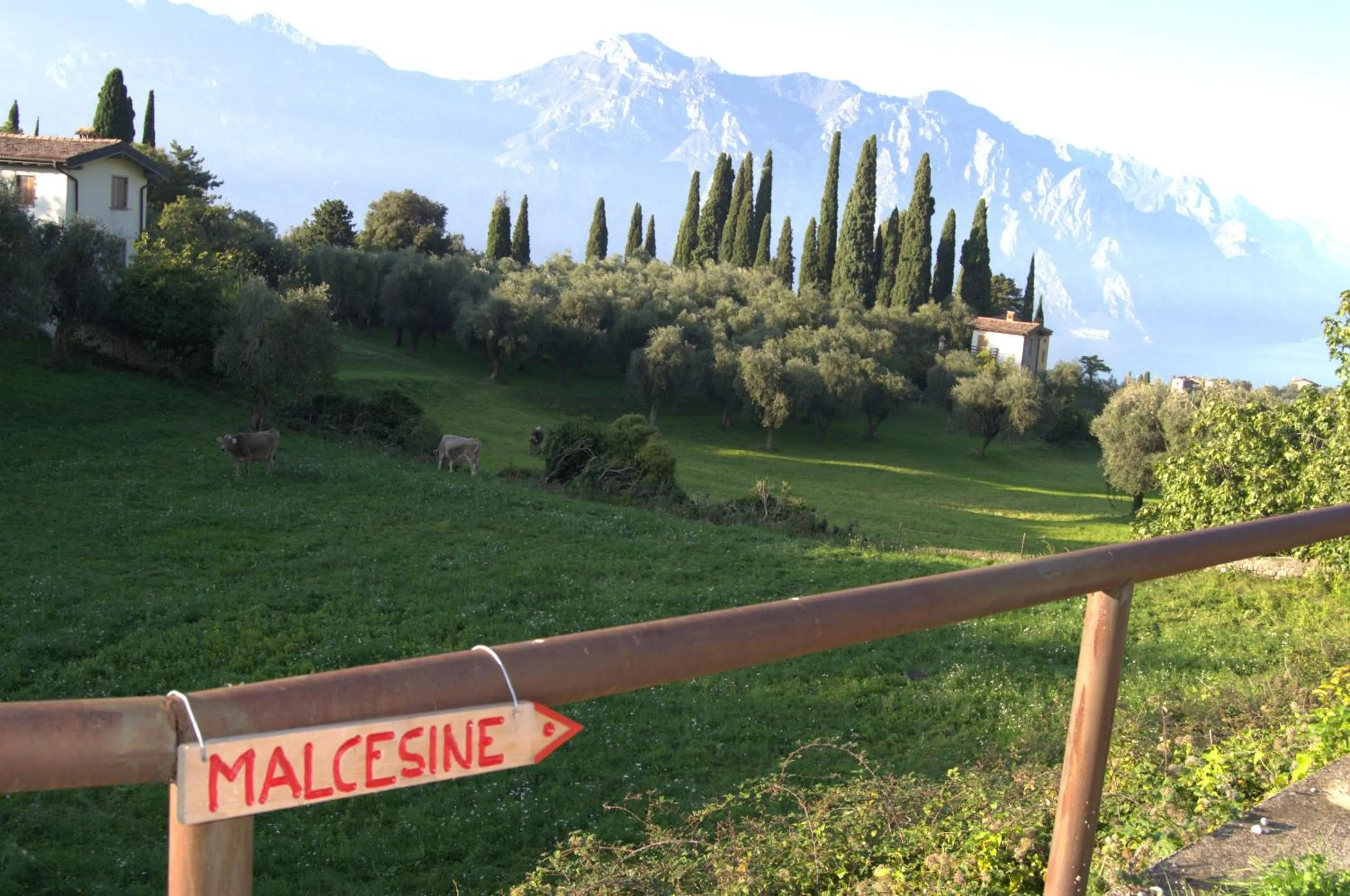 View (from property/room) in Guesthouse Grand View