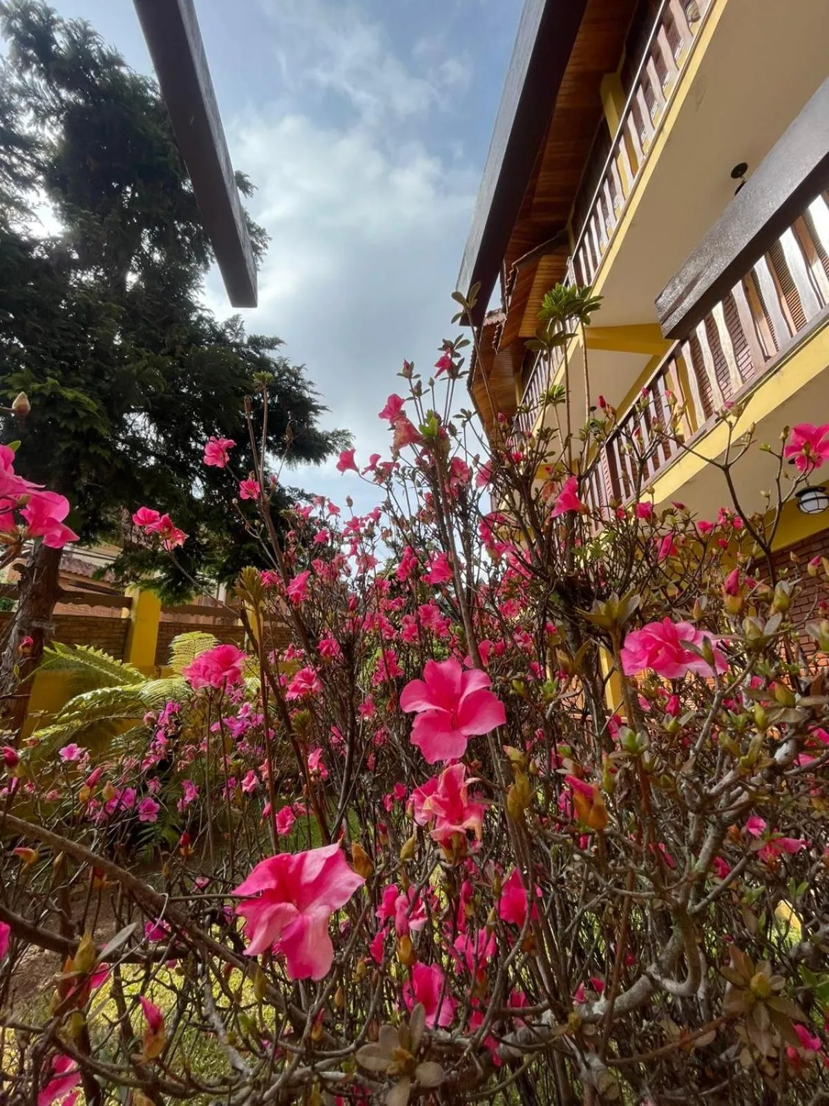 Spring in Hotel Garnier