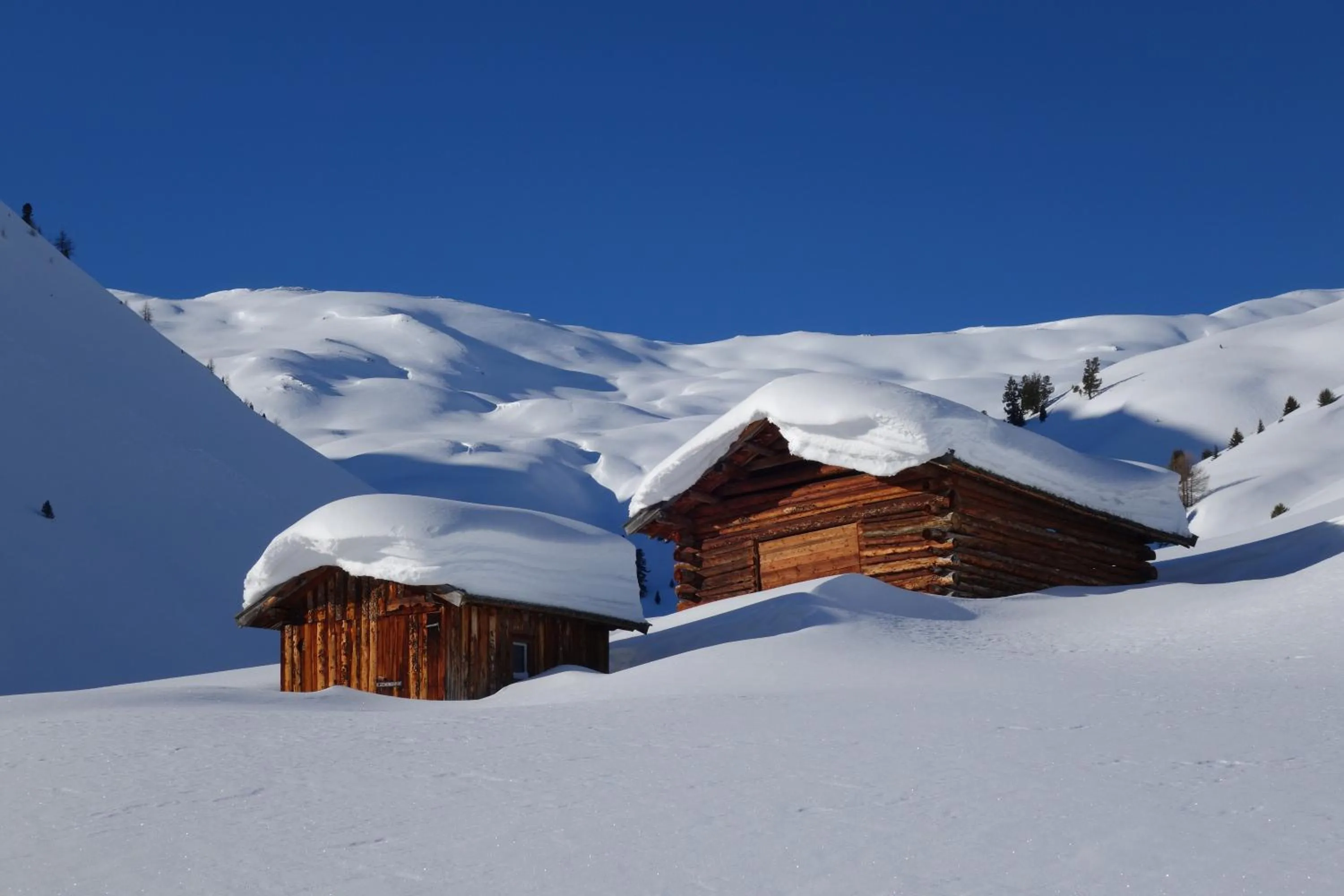 Winter in Residence Dilitz