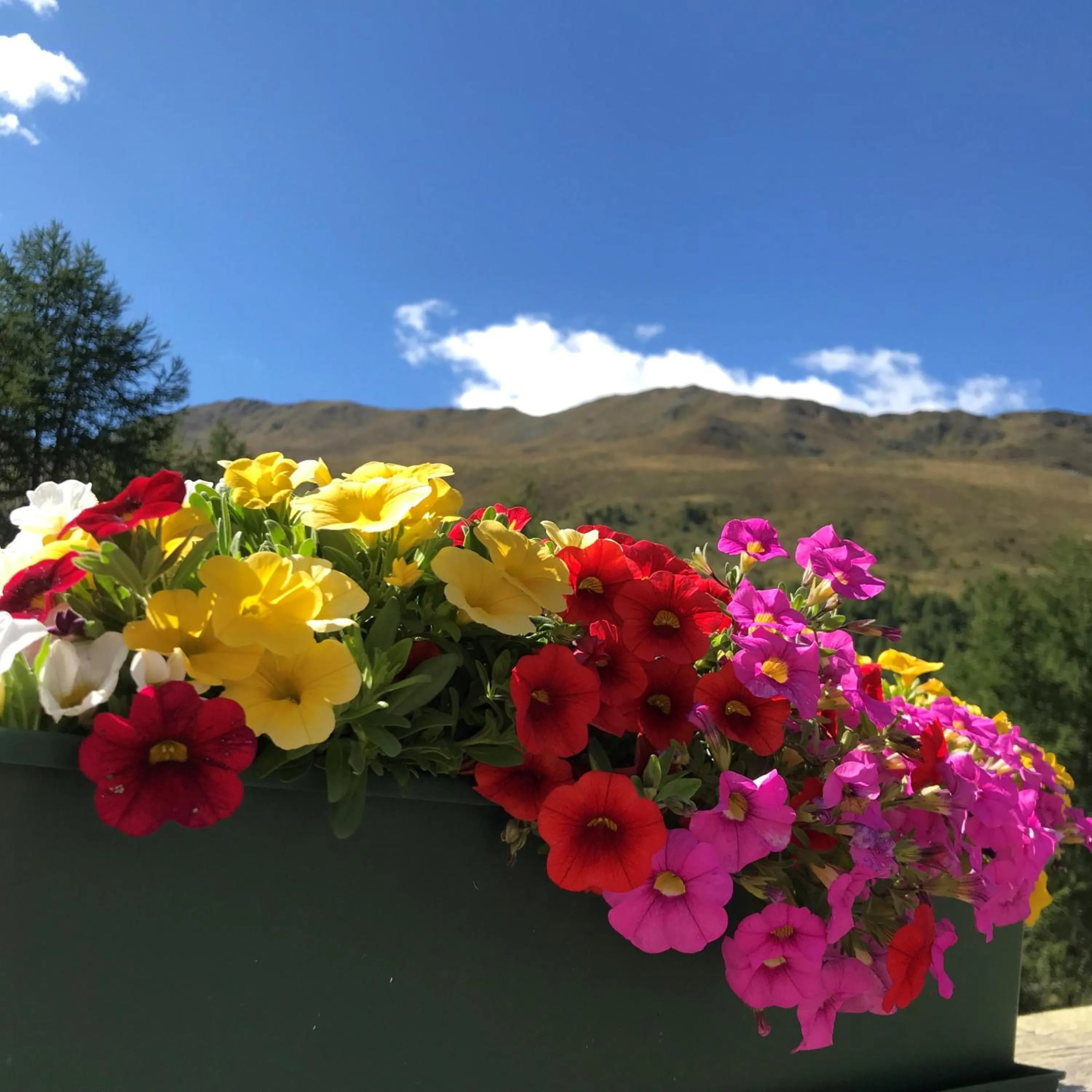 Natural landscape in Residence Dilitz