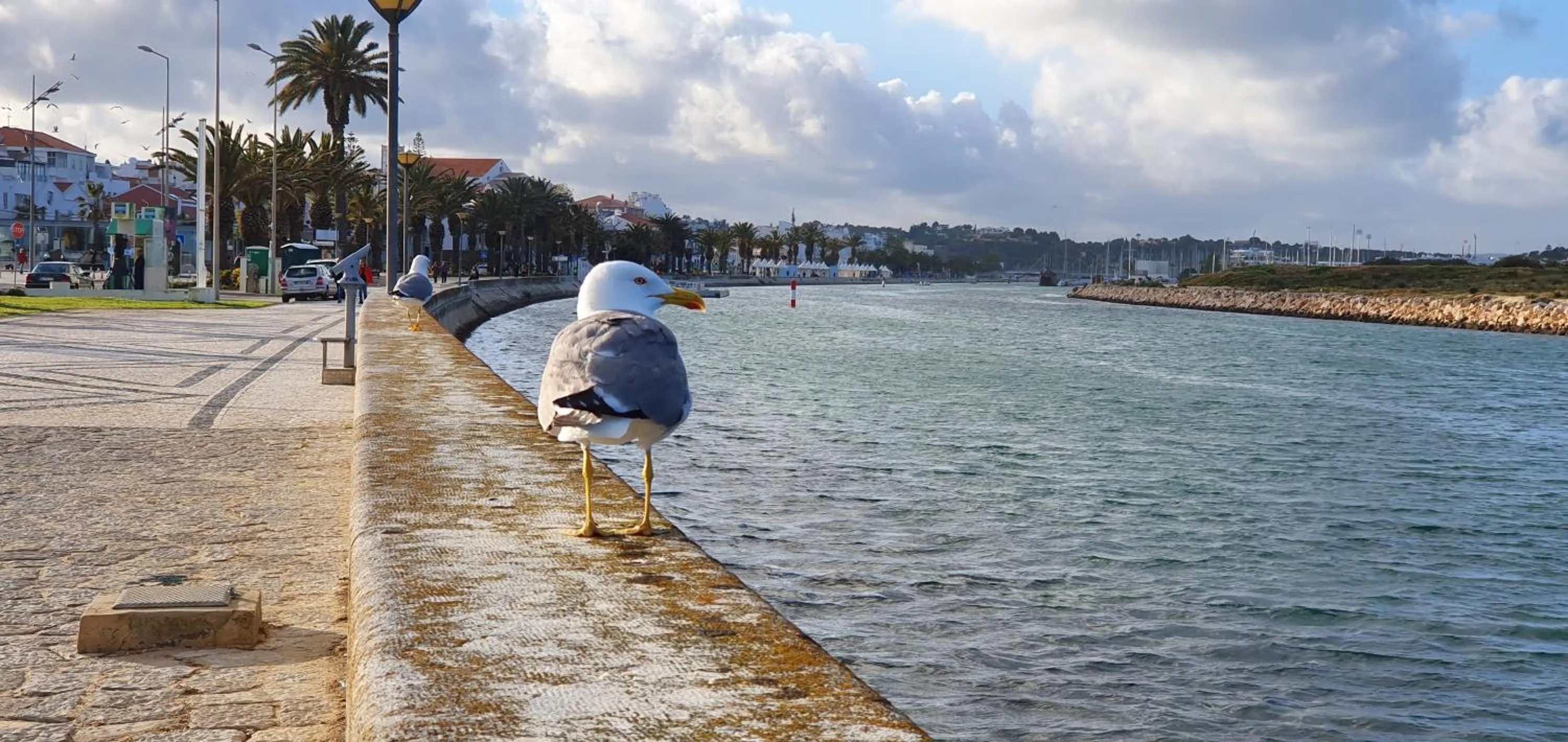 River view in Casa Felicidade