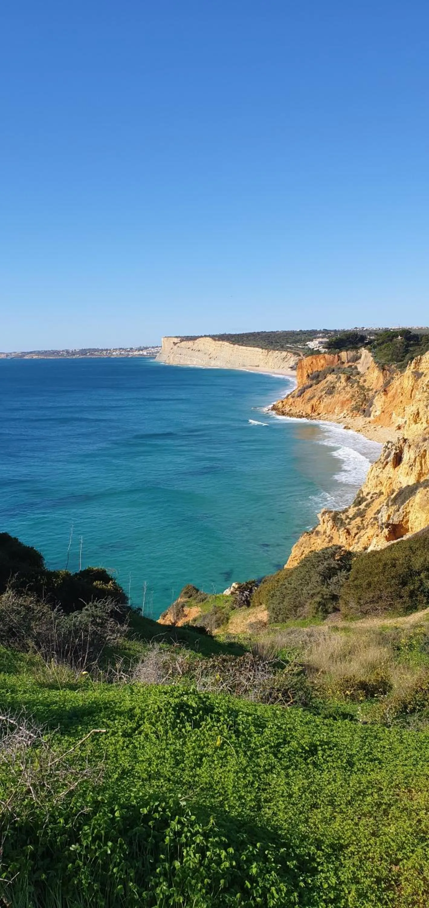 Natural landscape in Casa Felicidade
