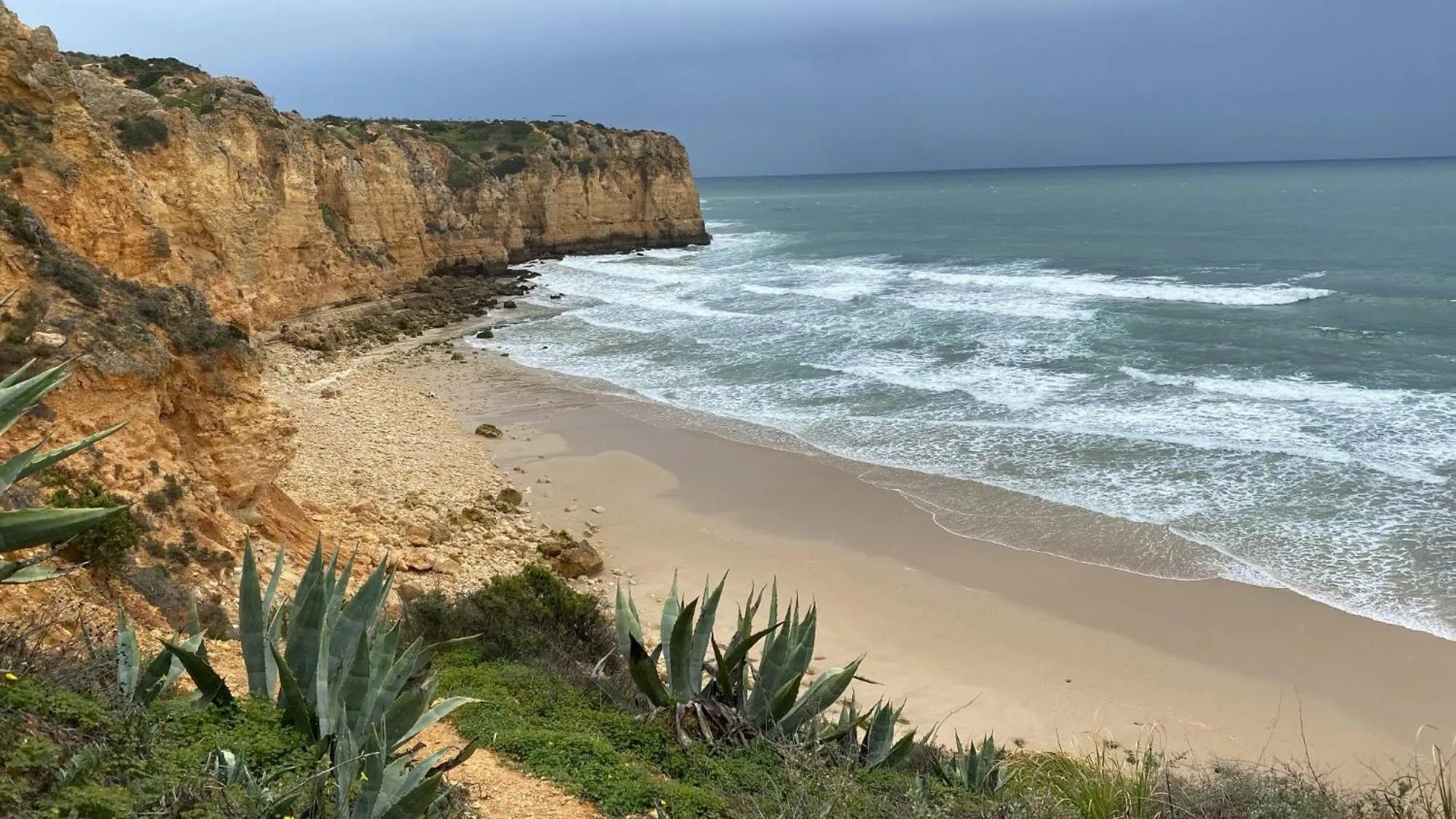 Beach in Casa Felicidade