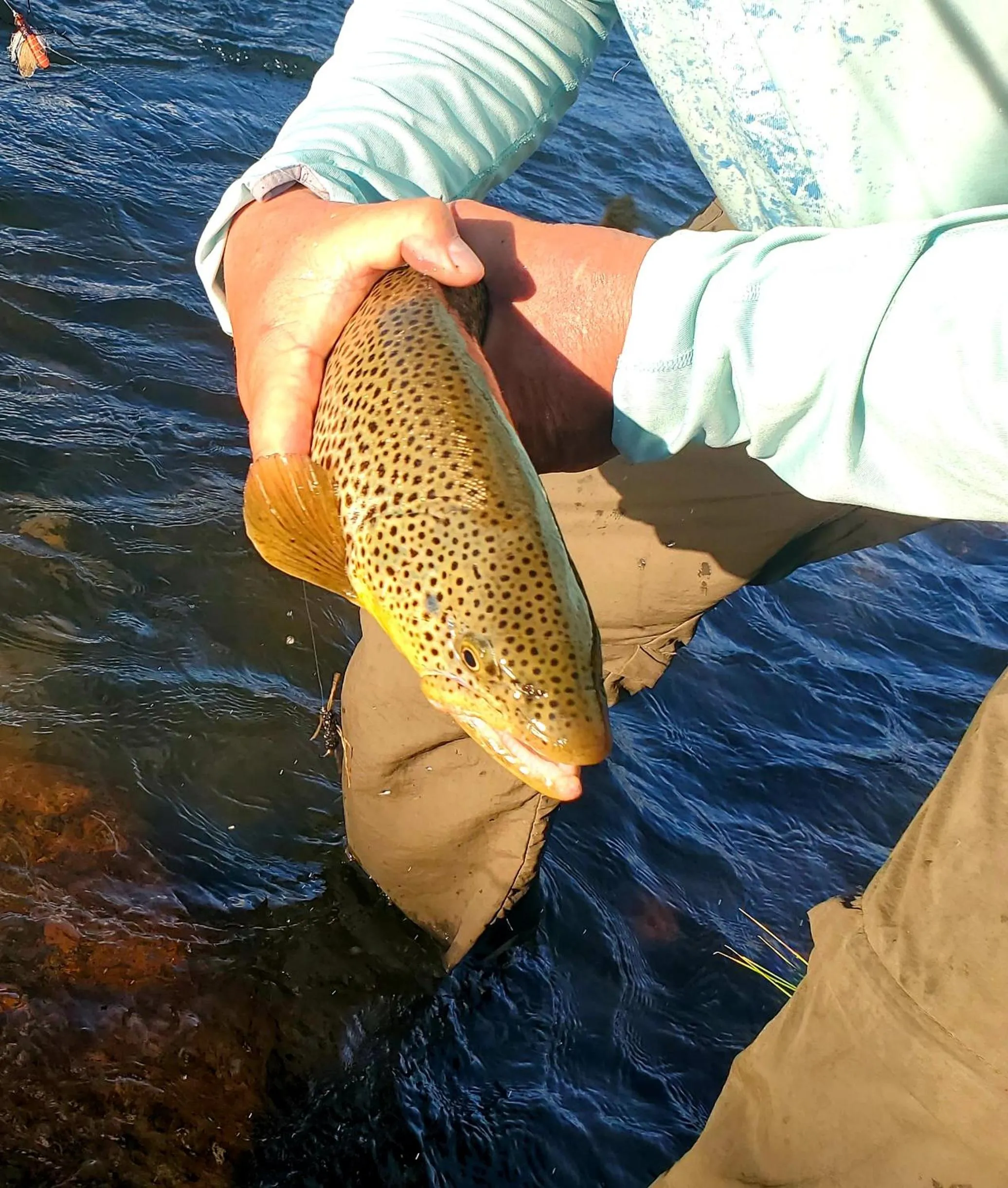 Fishing in Dream Drift Motel