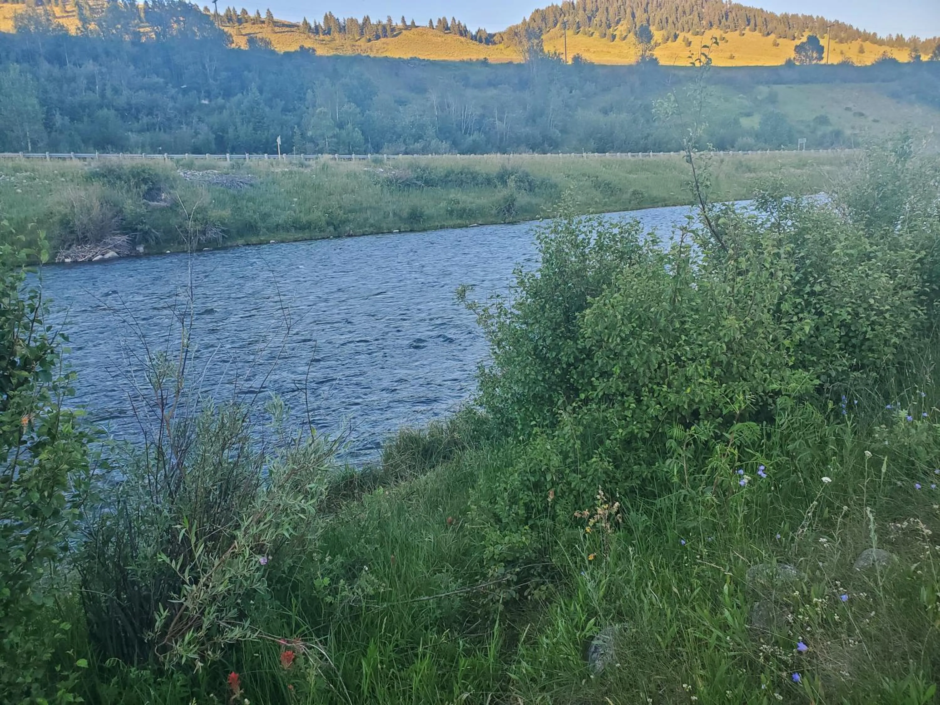 Hiking in Dream Drift Motel