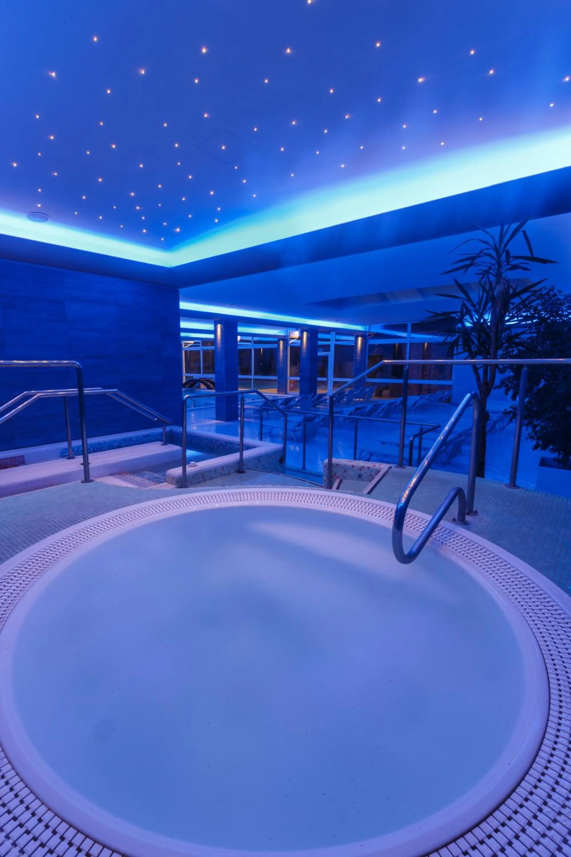 Hot Tub in Hotel Terme Millepini