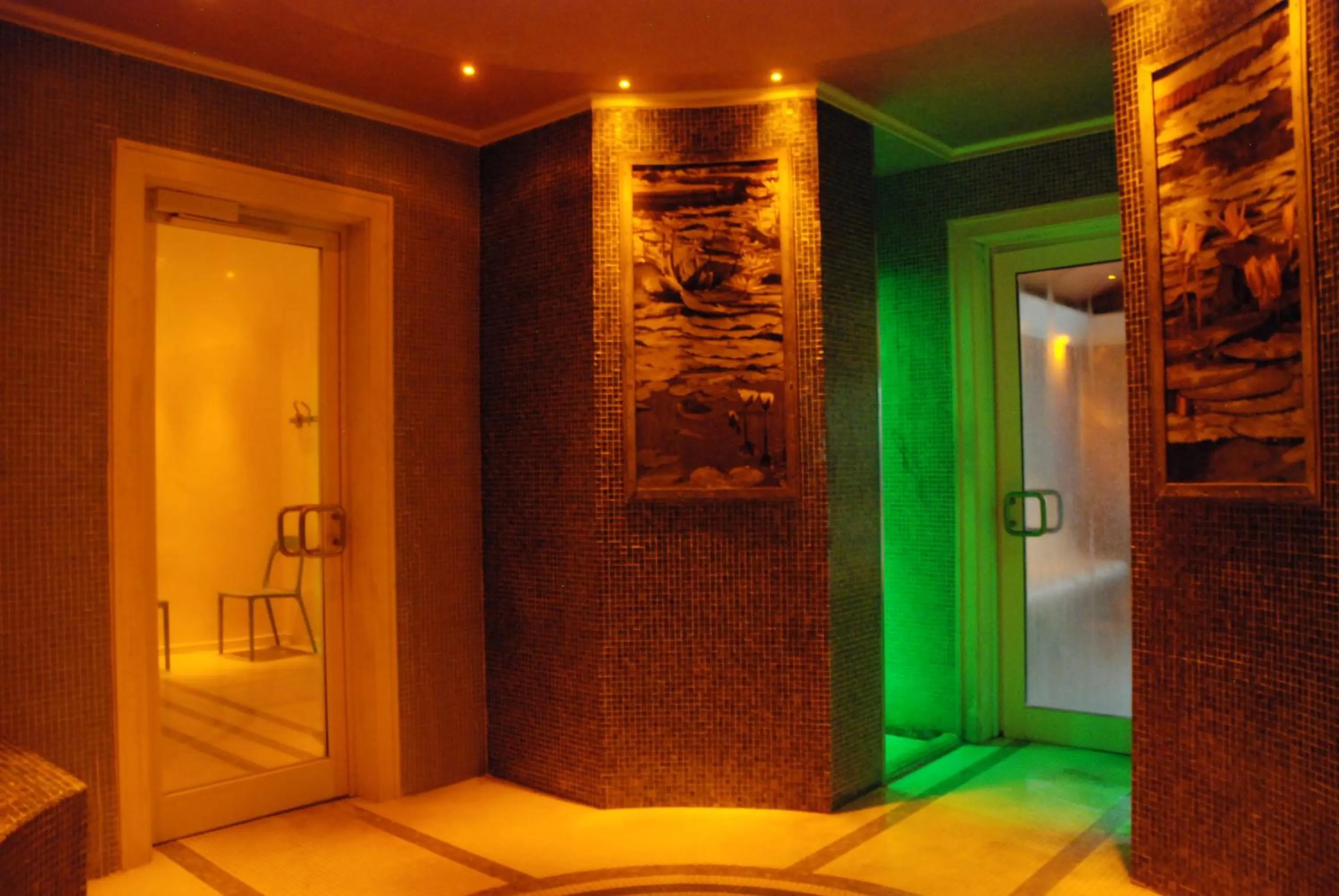 Spa and wellness centre/facilities in Hotel Terme Millepini