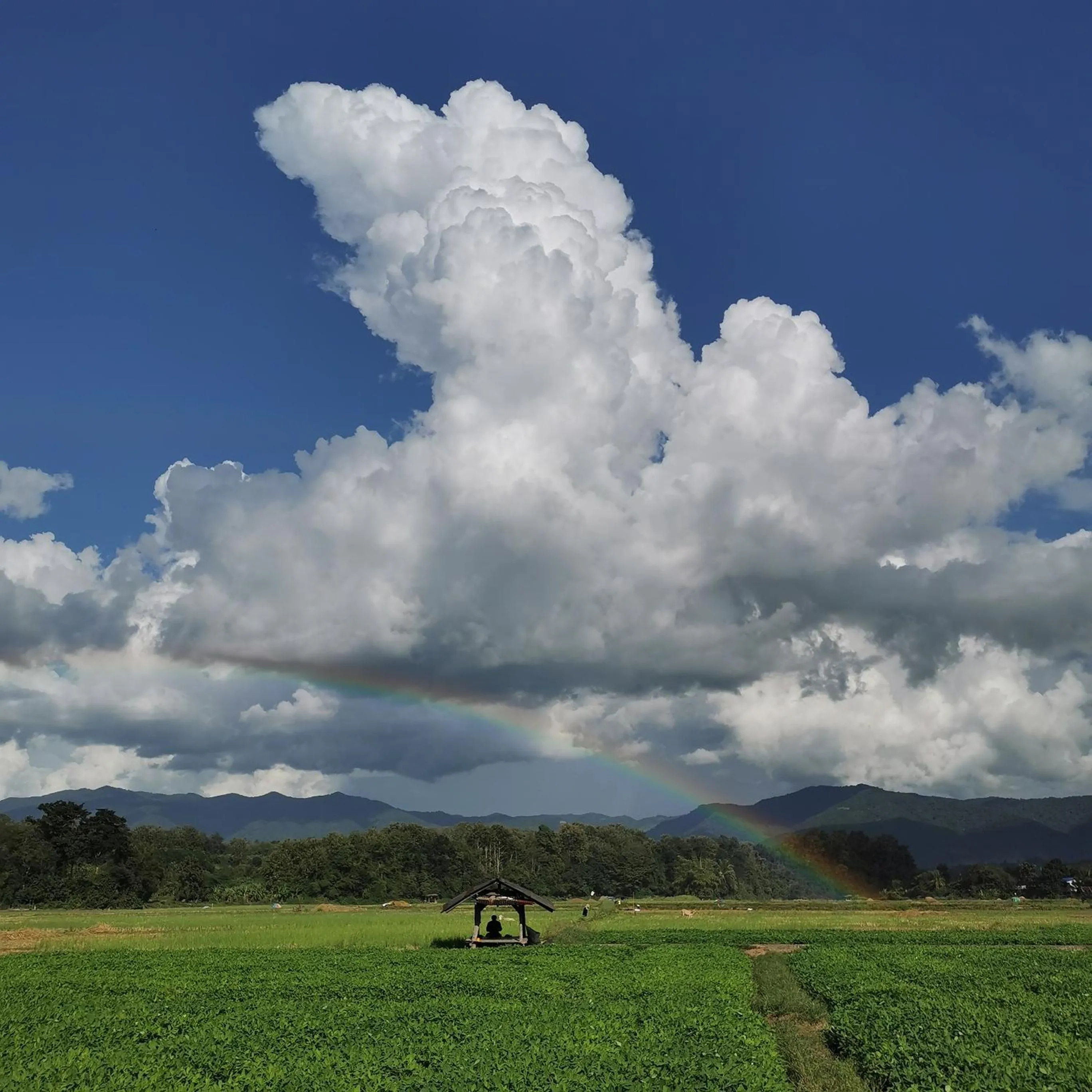 Day in THE RIVER RUNS CHIANG KLANG