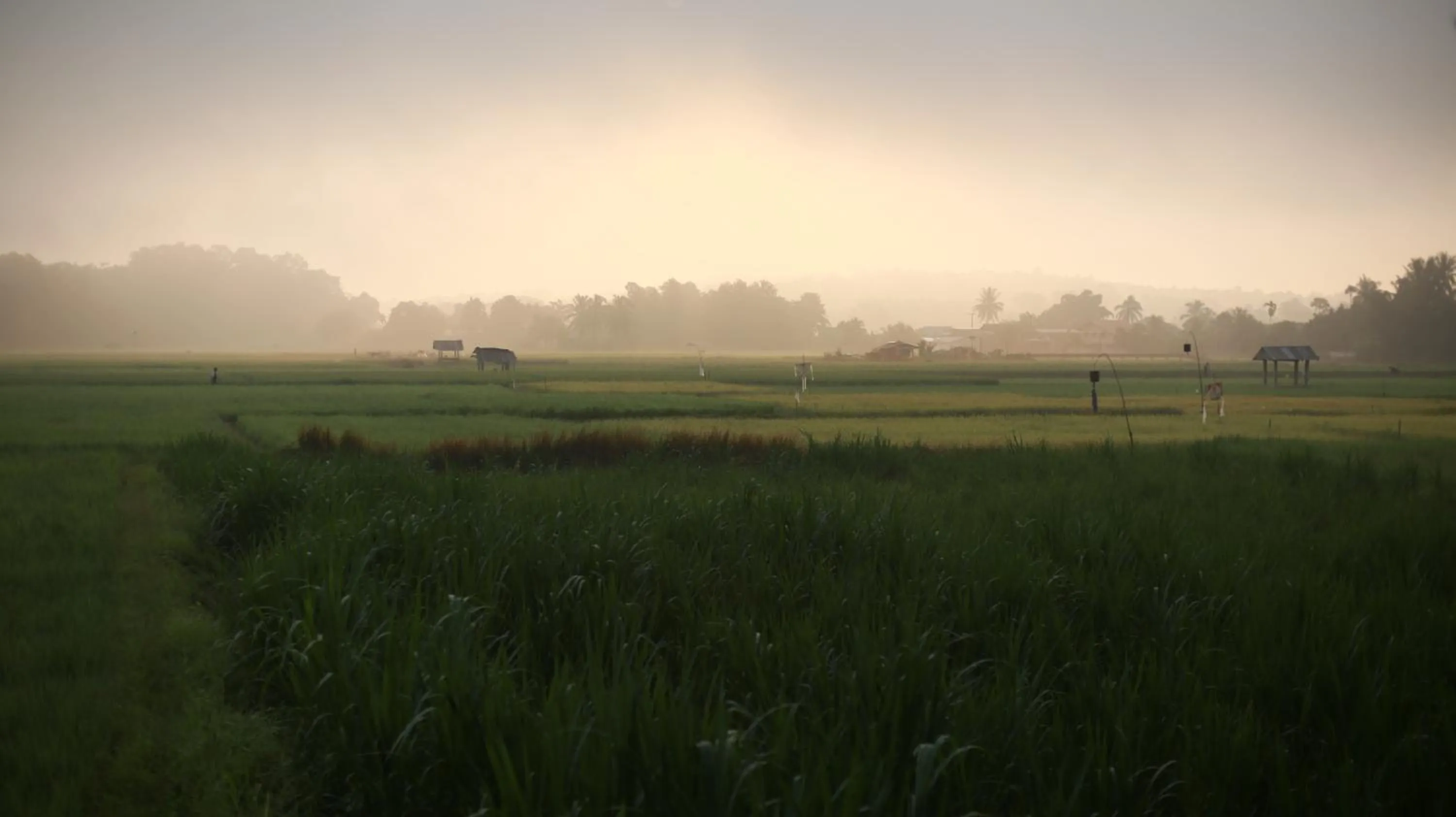 Nearby landmark in THE RIVER RUNS CHIANG KLANG