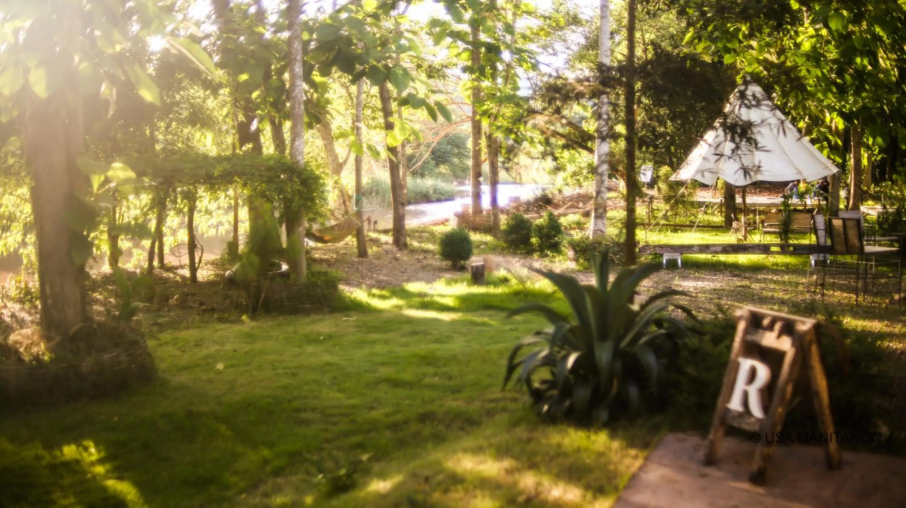 Garden in THE RIVER RUNS CHIANG KLANG