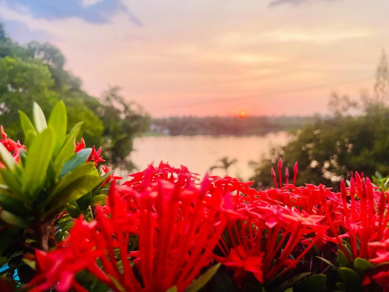 Ayurveda Spring of Life