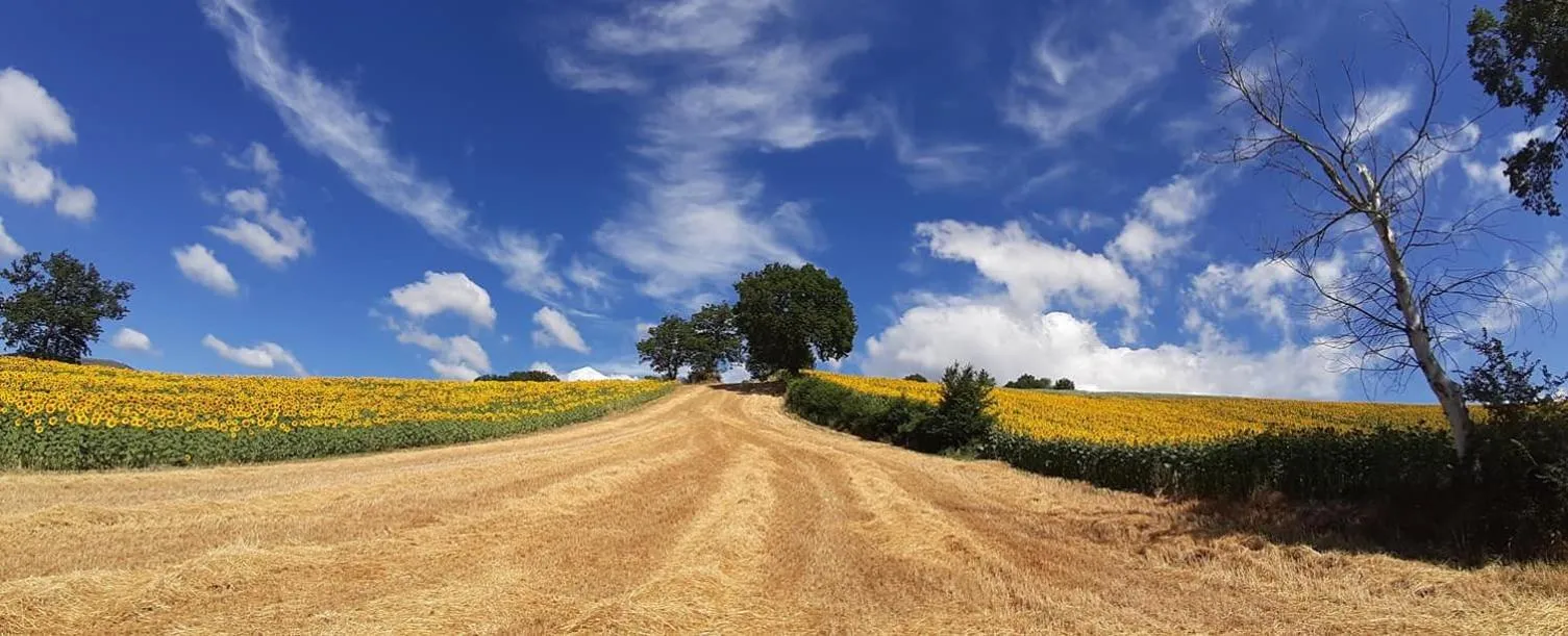 Summer in L'Isola Che Non C'era