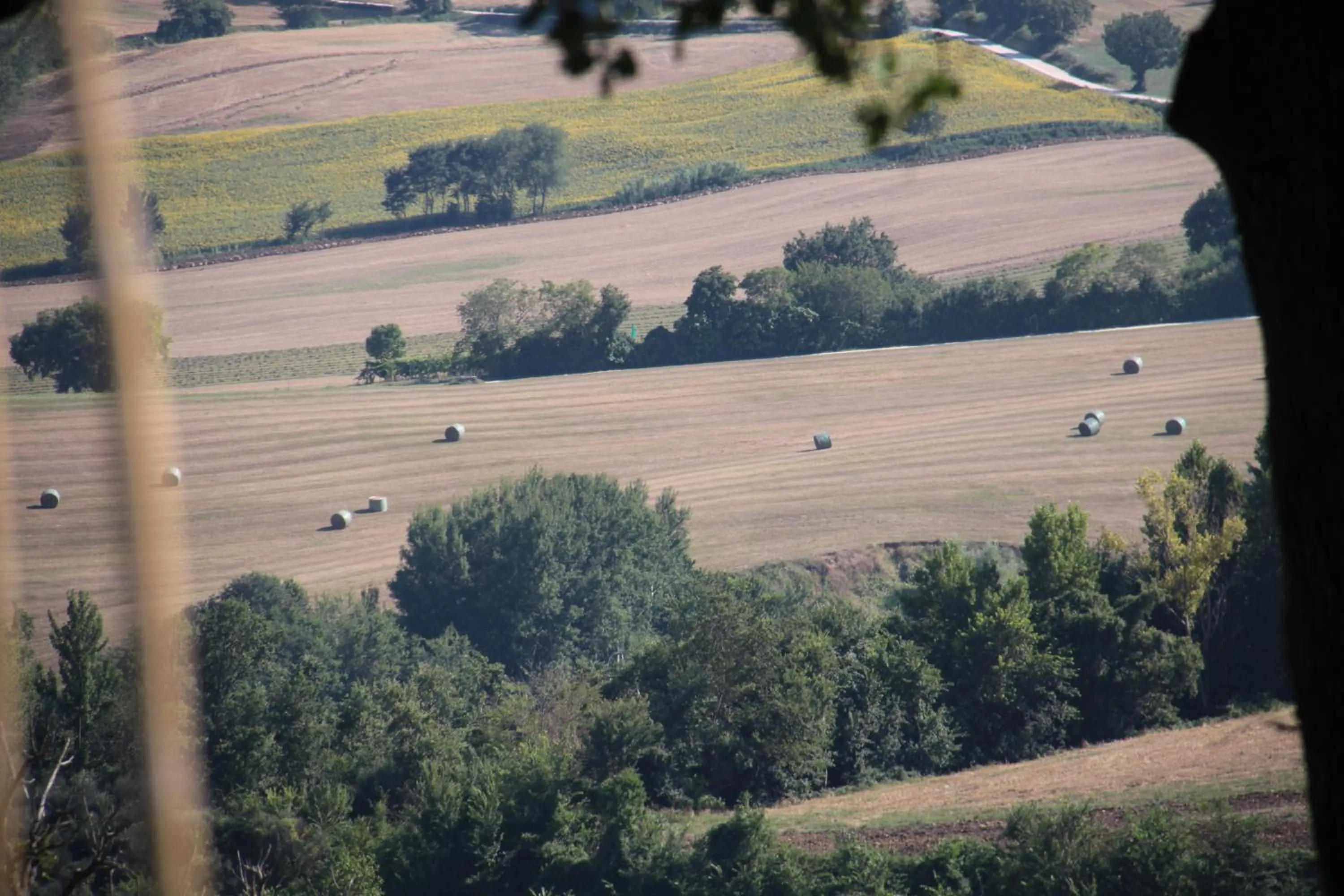View (from property/room) in L'Isola Che Non C'era
