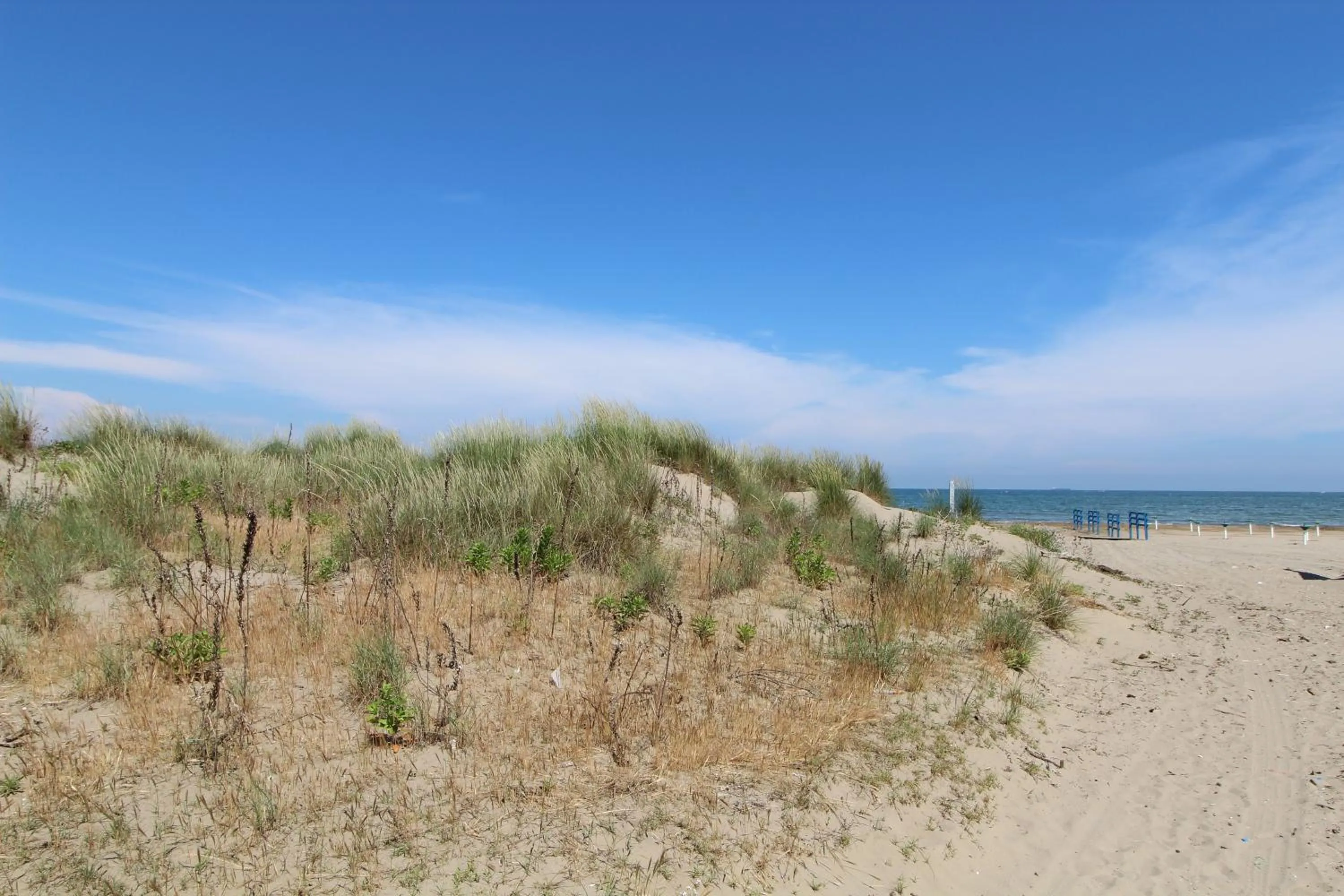 Beach in Hotel Villa Orio & Beatrice