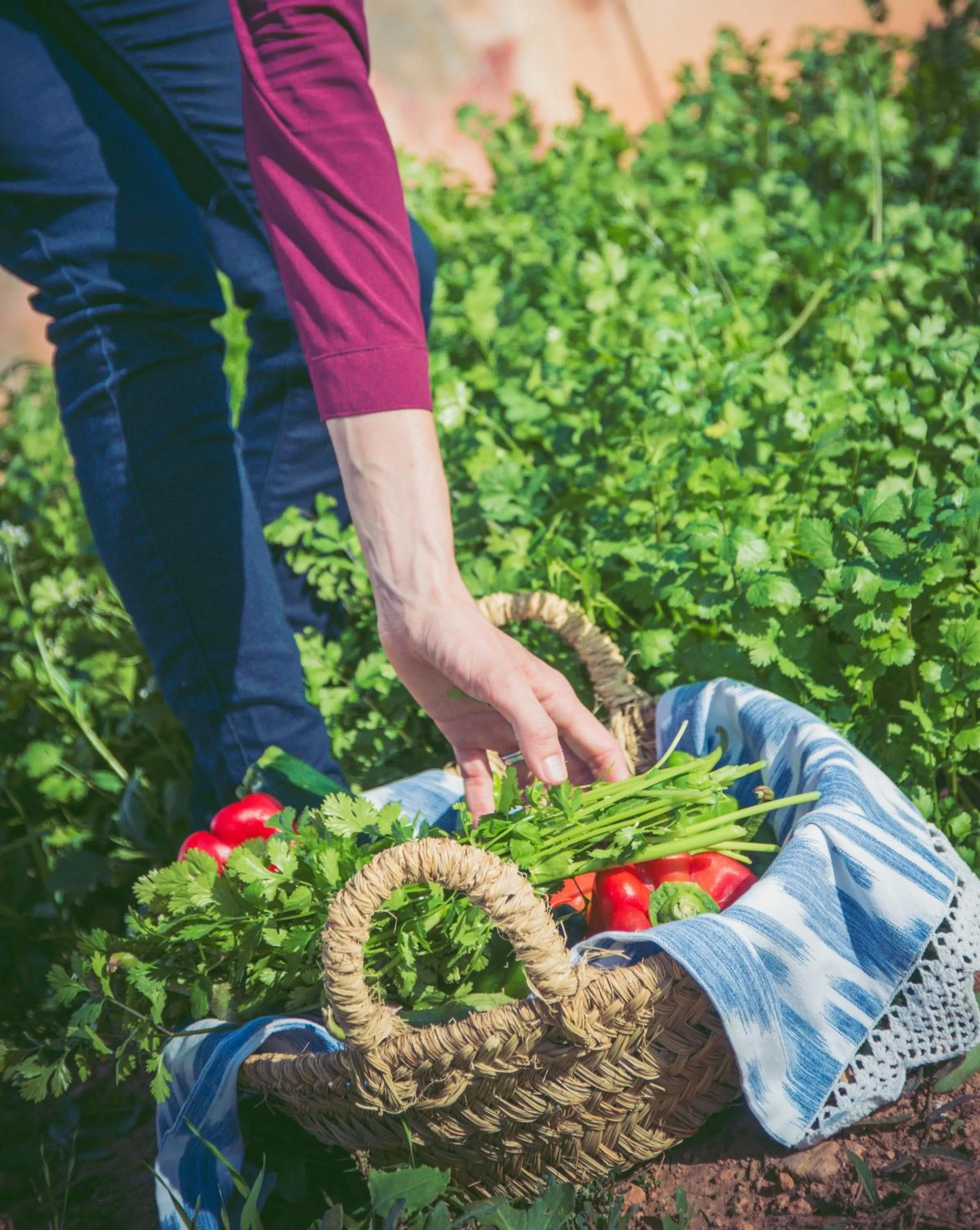 Staff in Bennoc Petit Hotel