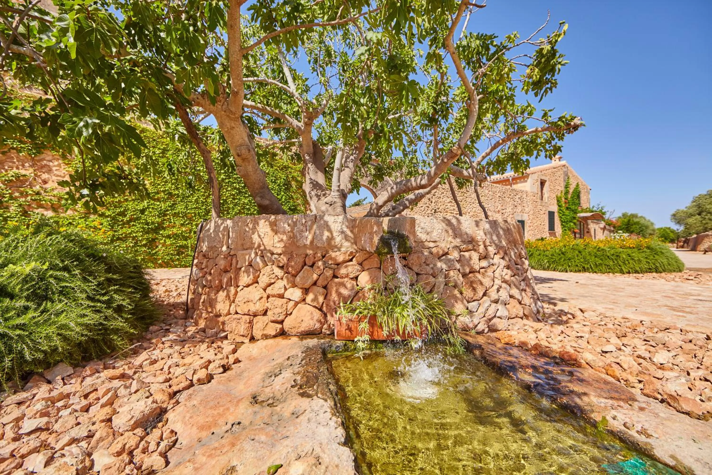 Garden in Bennoc Petit Hotel