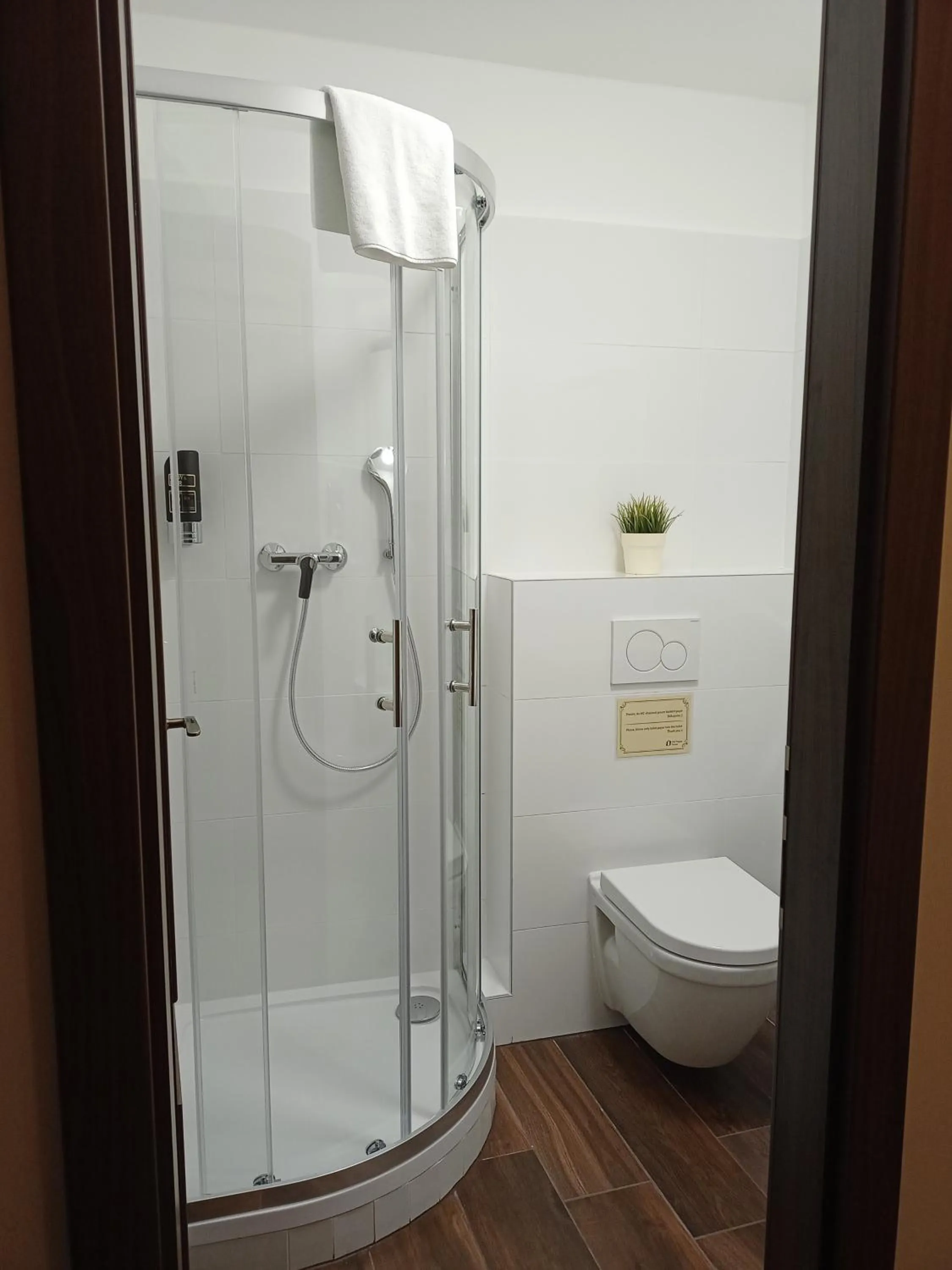 Shower in Old Prague House