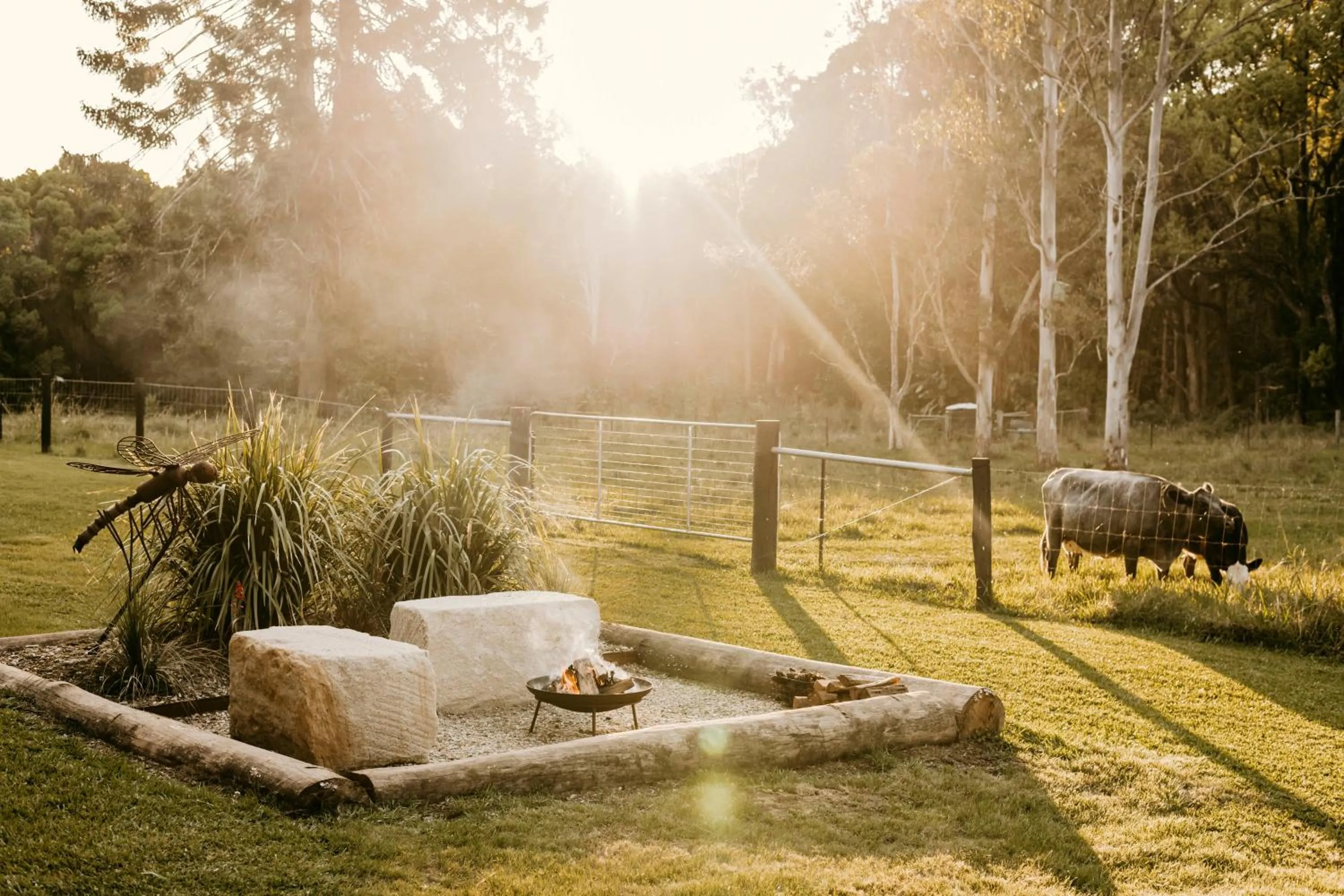 Natural landscape in Contained in Nimbin Accommodation