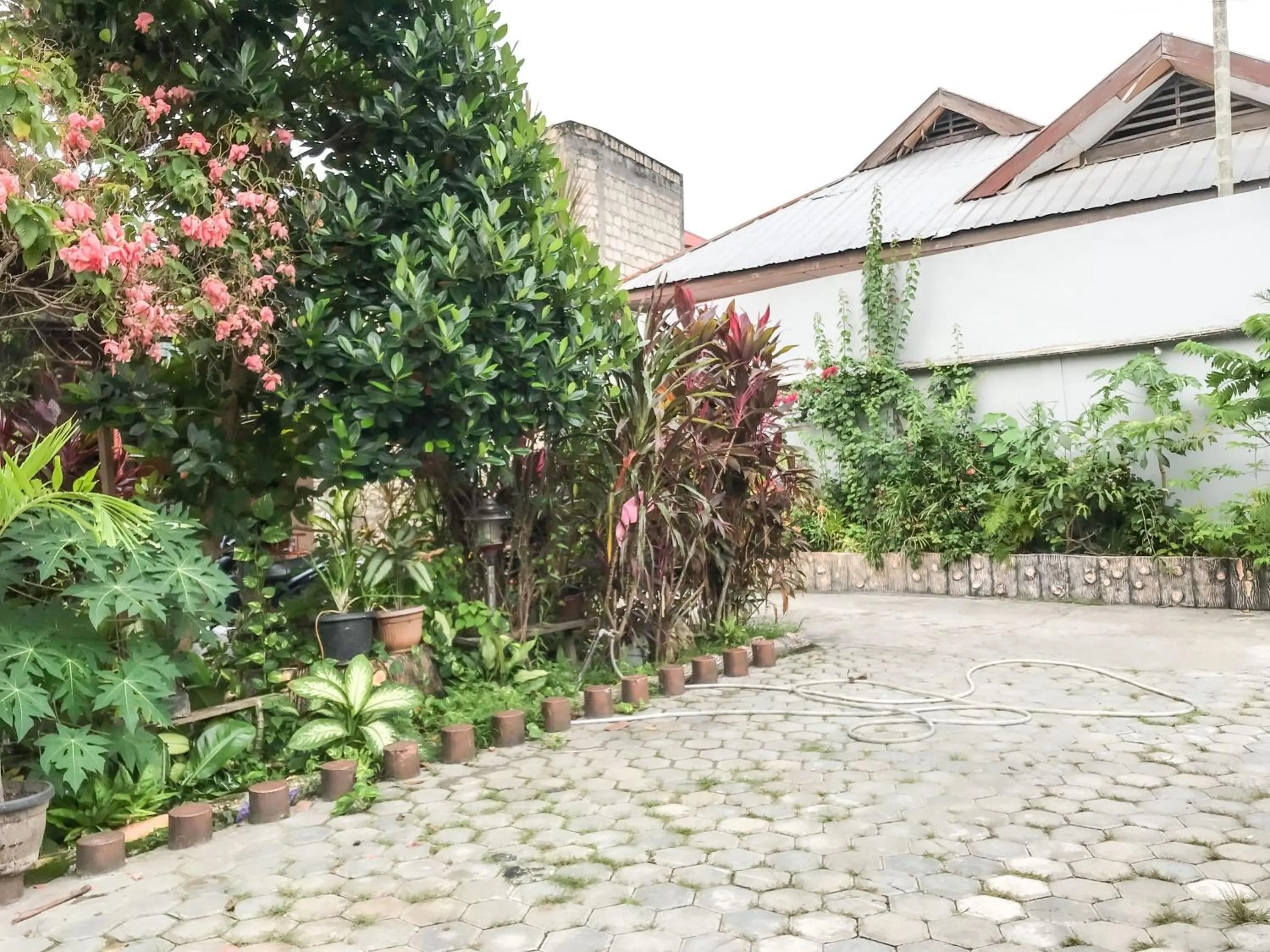 RedDoorz @ Gerson Hotel Abepura