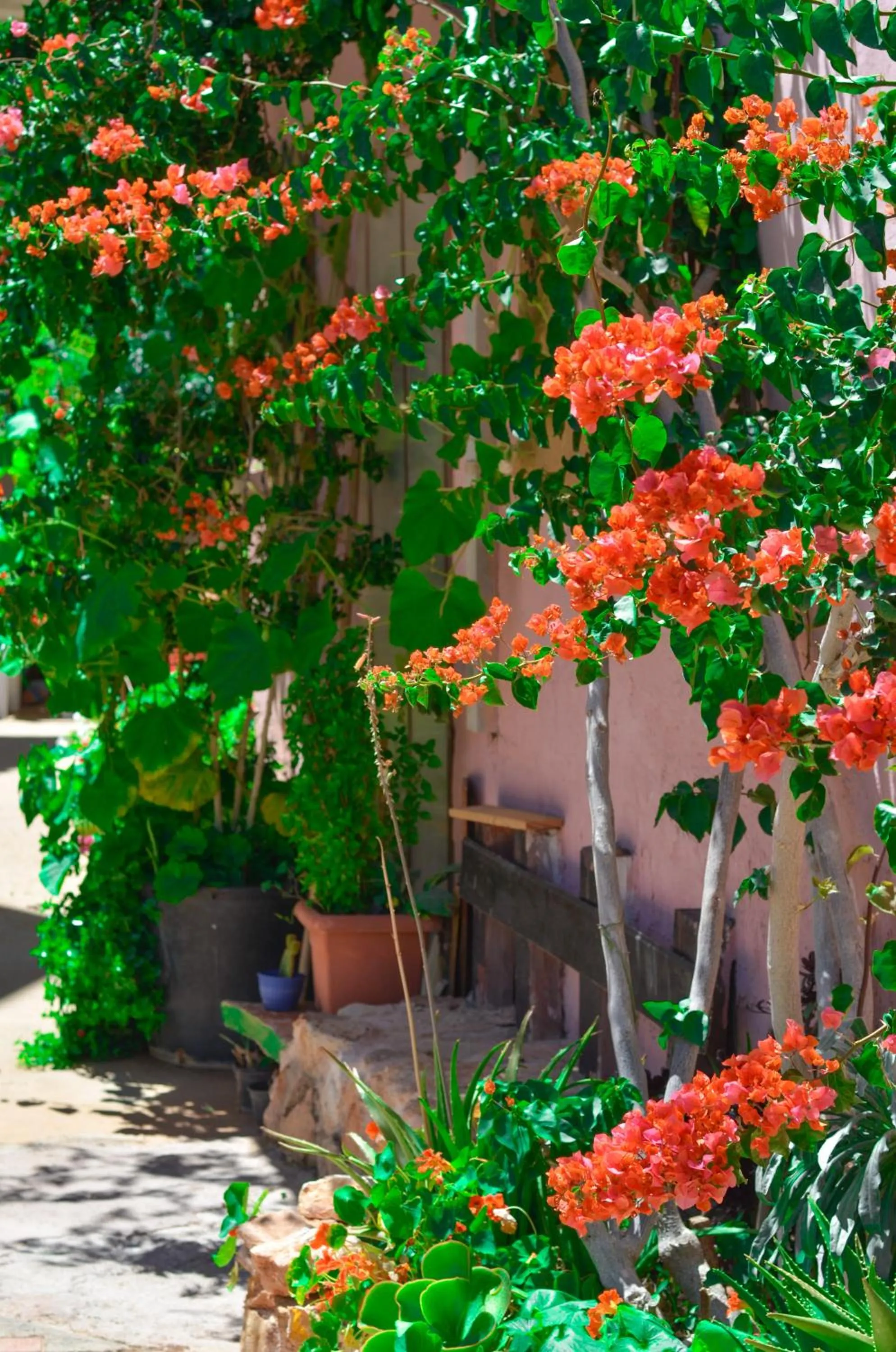 Garden in Home Suites