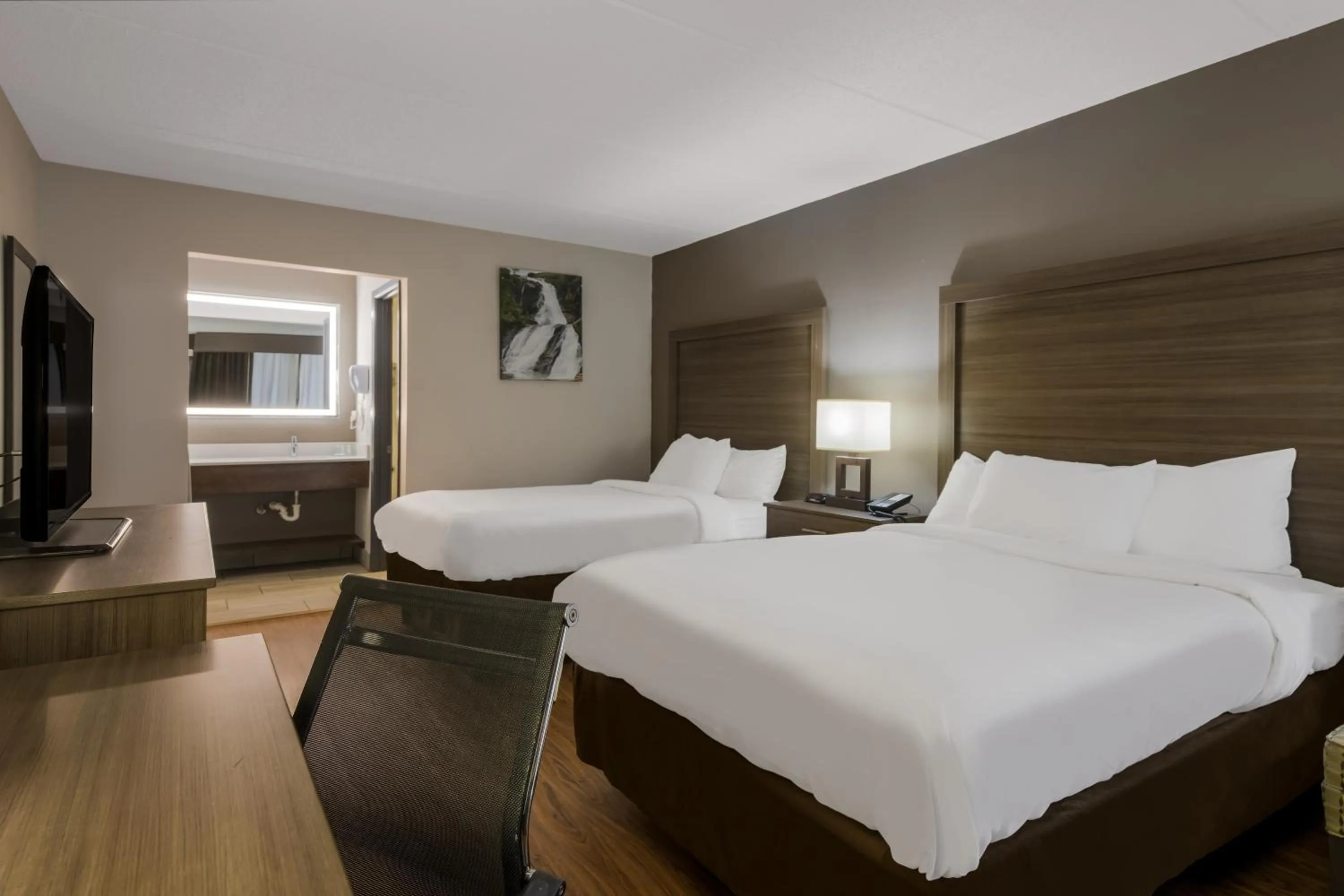 Photo of the whole room, Bed in Quality Inn Asheville Airport