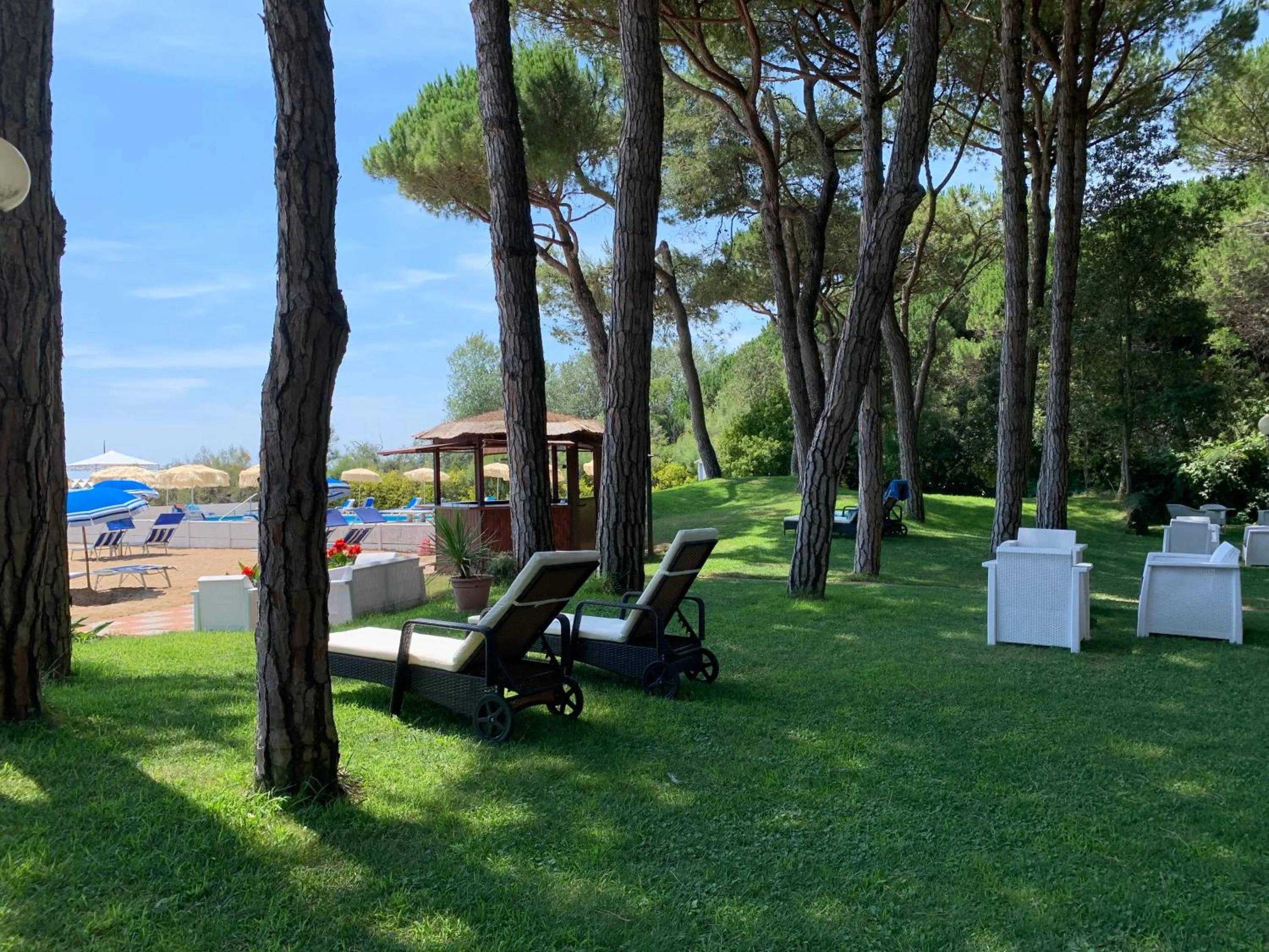 Garden in Hotel Beau Rivage Pineta