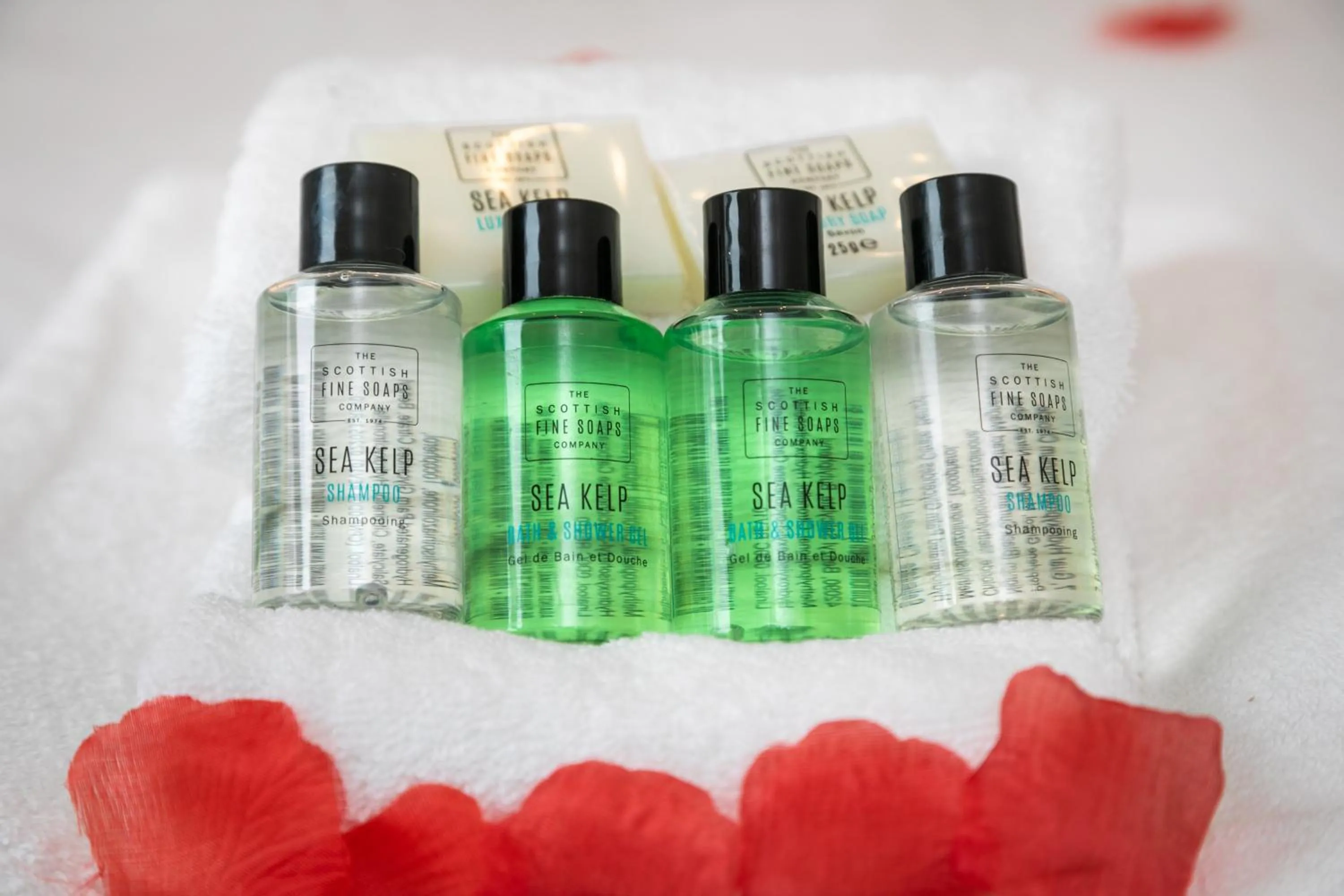 Bathroom in The Nestle House