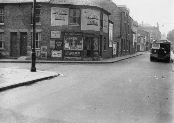 Garden in The Nestle House