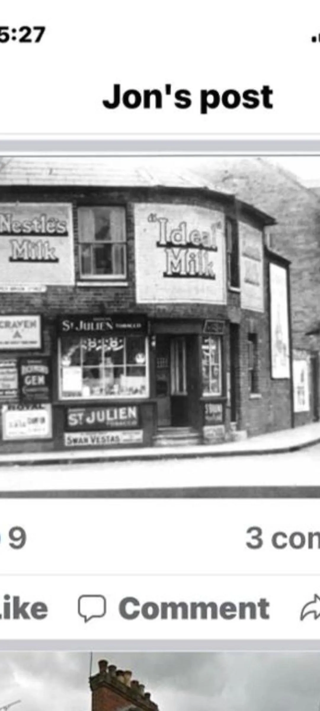 Garden in The Nestle House