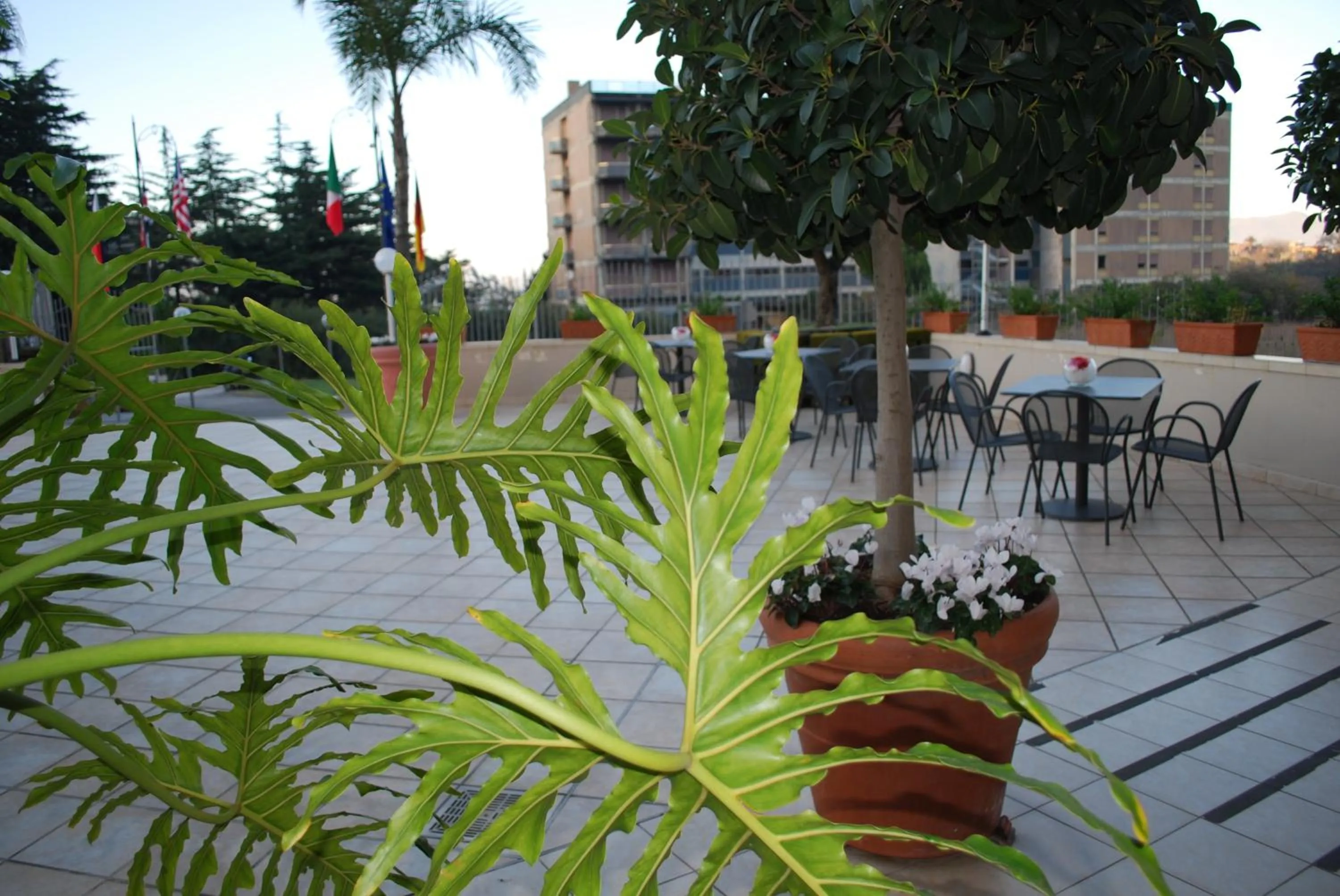 Decorative detail in Europa Stabia Hotel