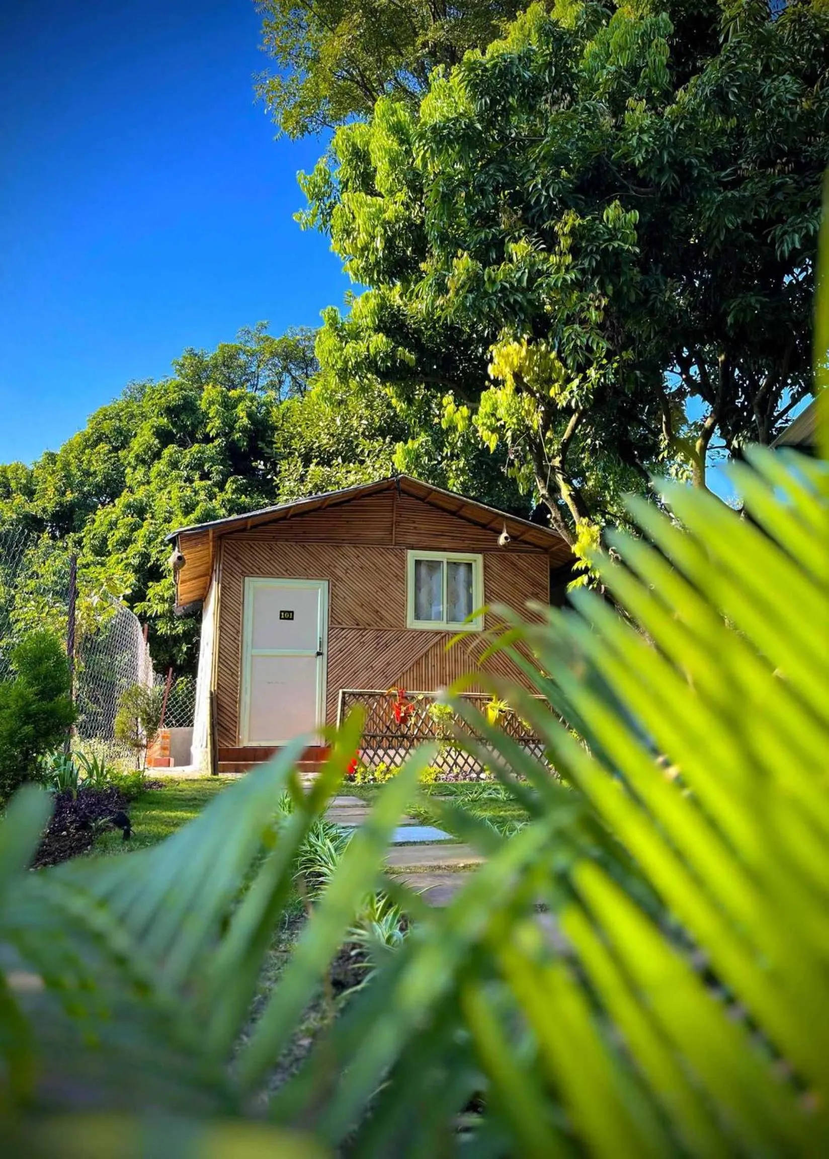 Facade/entrance in Hotel O Royal Tree Cafe And Resort